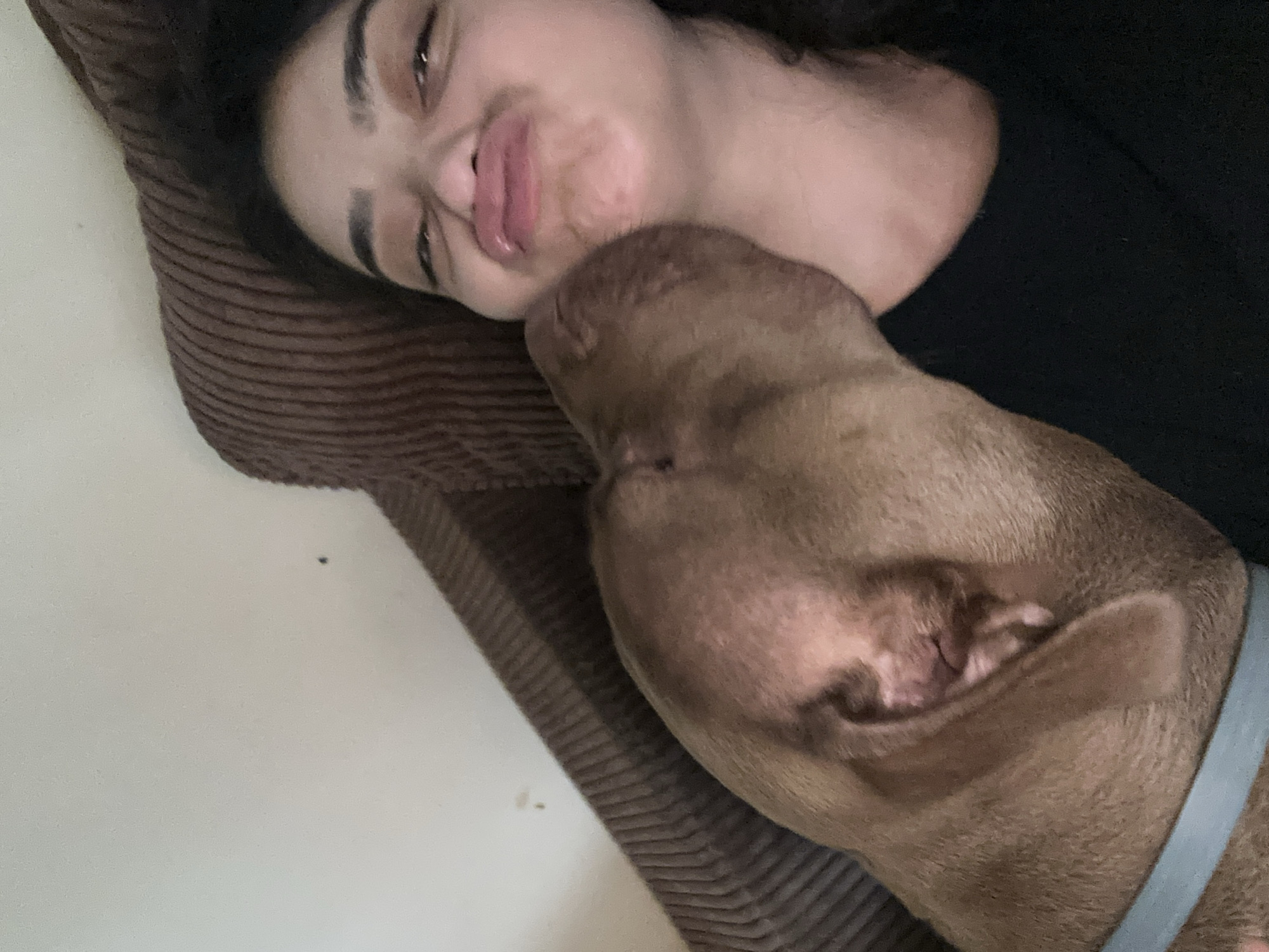 A close-up, overhead shot shows a woman and a dog on a brown couch. The woman is lying down with her eyes closed and her mouth pursed. The dog, a brown pit bull, is leaning in and licking her cheek. The background is a blurry white wall. This image does not depict a location in Malevo, Bulgaria; it is a private indoor setting.