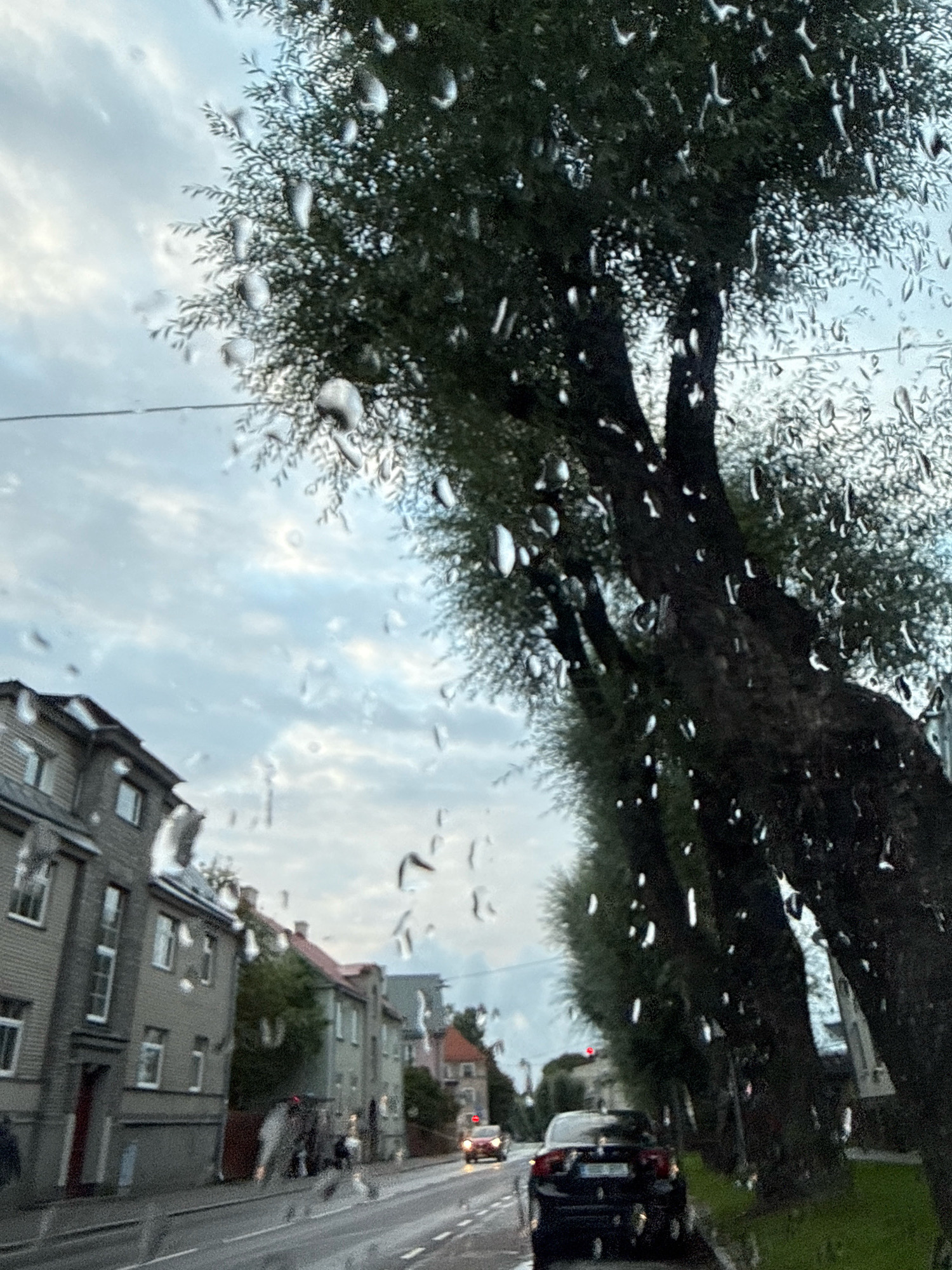 The image depicts a view from inside a vehicle, looking out through a window covered in raindrops. In the foreground, large, dark tree trunks are visible on the right, with feathery green foliage. To the left, a row of multi-story residential buildings with grey facades and dark roofs line a wet street. The street is a road with visible lane markings and is reflecting the overcast sky. Several cars are on the road; a dark-colored car is in the right lane, and a red car is further down the road in the left lane. There are a few indistinct figures on the sidewalk near the buildings. The sky is cloudy and appears to be a soft grey with lighter patches. This scene is characteristic of a street in Tallinn, Estonia, possibly during or after a rain shower.
