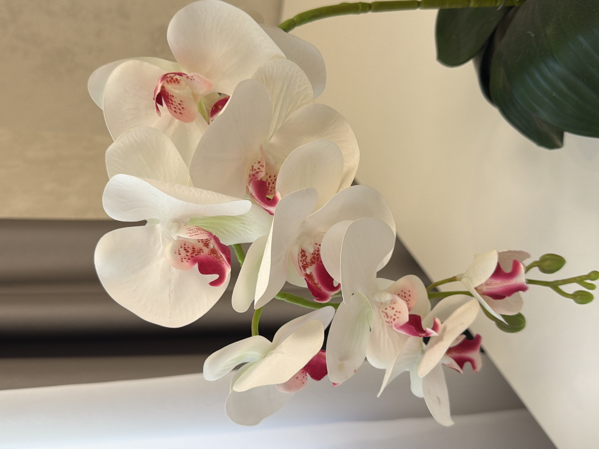 A close-up, eye-level shot features a branch of artificial white orchids with pink accents on a white table against a softly blurred background of curtains and a wall. The orchids are arranged in a cascading manner, with several blooms in focus and others slightly out of focus. The petals are delicate and layered, with a prominent fuchsia-colored center marked with darker pink speckles. A thick green stem extends upwards, supporting the flower arrangement. The overall lighting is soft and diffused, casting gentle shadows. The environment suggests an indoor setting, possibly a home or office.