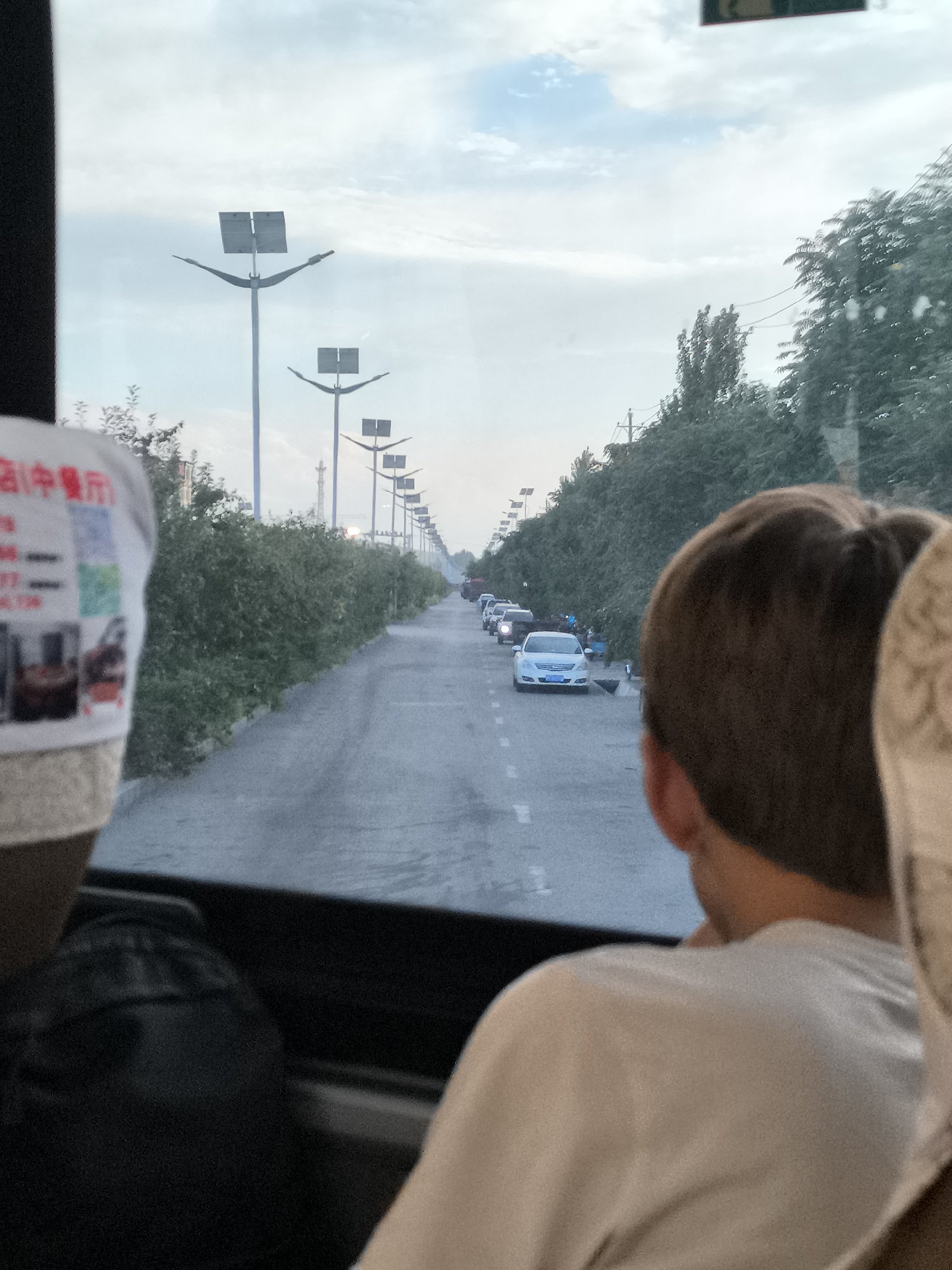 The image shows a view from inside a vehicle looking out at a road with traffic in Lucaogou Town, China. The road is lined with trees on the right and a row of streetlights with solar panels on the left. Several cars are visible on the road, moving in the same direction. In the foreground, the back of a person's head and shoulder are visible, suggesting the viewer is a passenger. The sky is overcast with clouds.