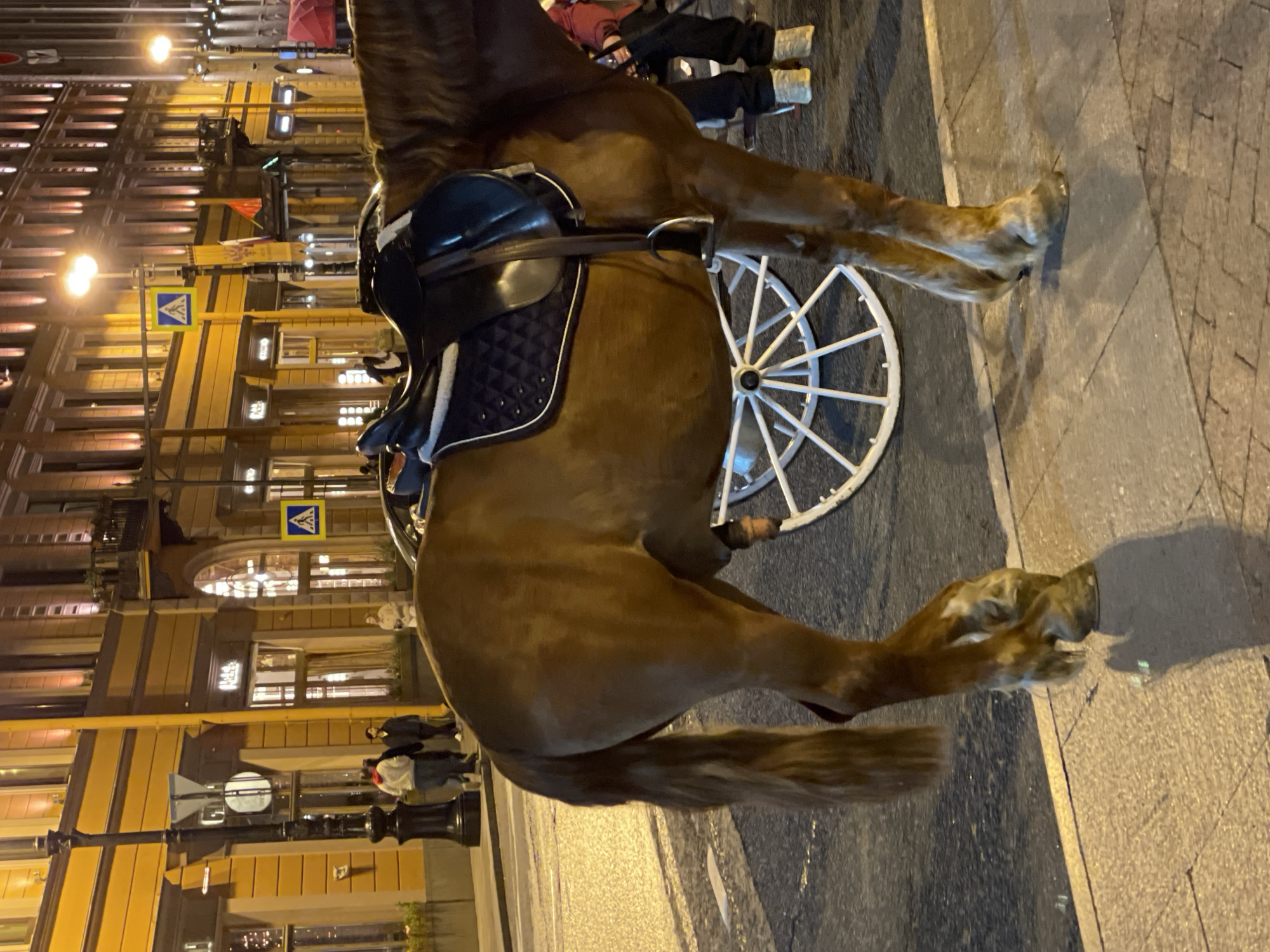 The image depicts a horse-drawn carriage on a city street at night. The horse, with a brown coat and dark mane, is harnessed to a white carriage with spoked wheels. The carriage seat is covered with a black quilted material. Pedestrians are visible in the background. The street is paved, and yellow streetlights illuminate the facades of tall buildings with multiple windows on the left side of the frame. Street signs and decorative elements adorn the buildings.