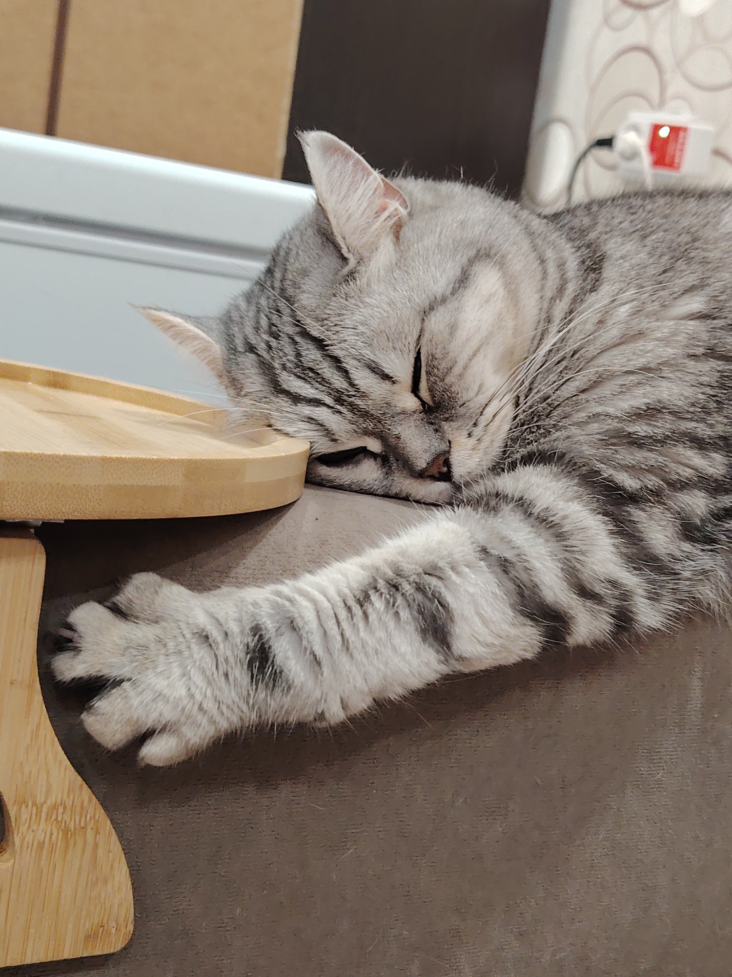 An adult domestic cat with grey tabby markings is asleep on a dark grey surface, likely a sofa or bed. The cat is lying on its side with its head resting on its paws, which are extended forward. A light-colored wooden tray with a curved edge is positioned to the left of the cat, with one of its paws resting on the tray. The background is blurred but suggests an indoor environment with a wall and a white electrical outlet with a red light. The scene depicts a peaceful moment of rest for the animal. There are no people present, and no identifiable landmarks or context to suggest a specific location in Novosibirsk, Russia.