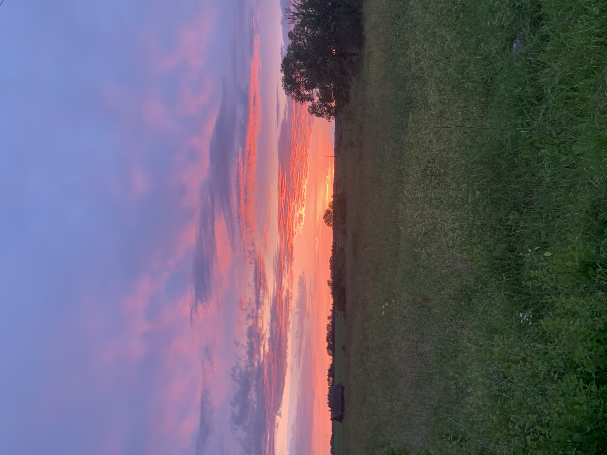 This is a landscape photograph taken at sunset in Відзаўскі сельскі Савет, Belarus. The image features a wide field of green grass in the foreground, with scattered wildflowers and tall weeds. In the midground, there is a dark, rustic wooden structure resembling a shed or small barn on the left, and a line of trees in the distance across the field. A large, mature tree with dense foliage stands prominently on the right side of the frame. The sky is filled with vibrant colors of sunset, ranging from bright orange and pink near the horizon to soft purple and blue higher up, with scattered, wispy clouds. The overall impression is one of a serene rural evening. There are no people or animals visible in the image.