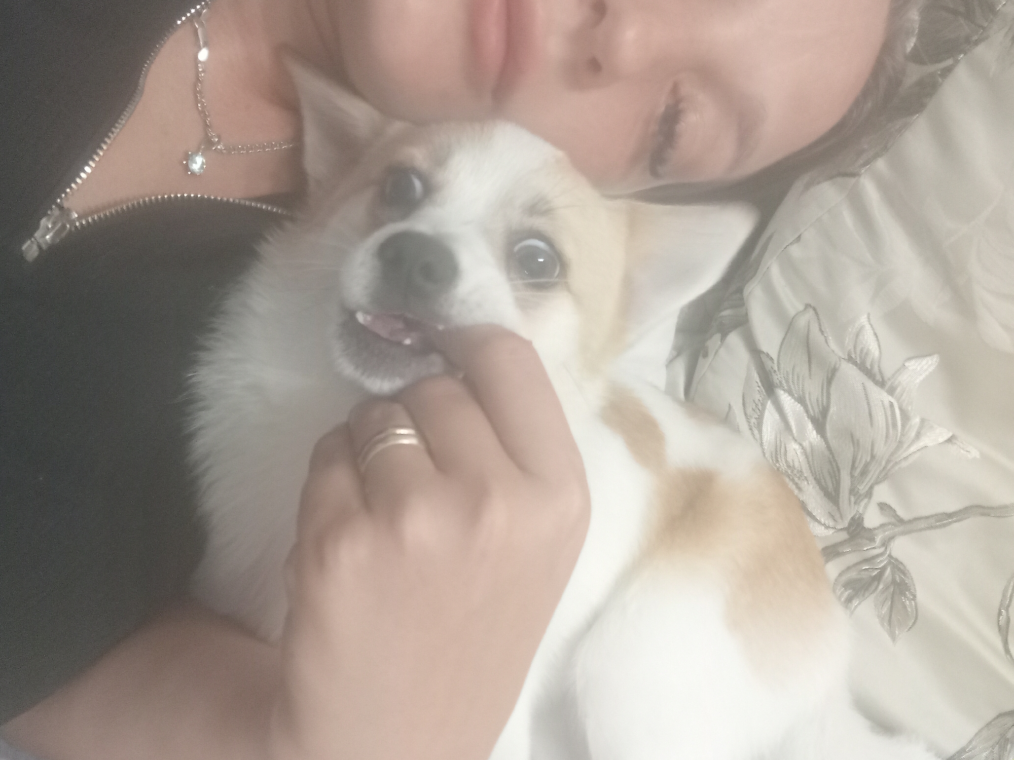 The image shows a close-up selfie of a woman holding a small dog. The woman's face is partially visible on the left side, with her left eye closed and her right eye wide open, looking at the camera. She has long eyelashes and appears to be wearing makeup. The dog, likely a Chihuahua or similar breed, is held in her arms, and its face is also in the frame. Its mouth is open, and it appears to be reacting to something. The woman's right hand is near the dog's mouth, and she is wearing a ring on her ring finger. In the background, there is a floral patterned fabric, possibly a bedspread or pillow, in light colors. The woman is wearing a dark top with a zipper, and a silver necklace with a small pendant. The image appears to have been taken indoors. There is no information in the image to determine its specific location within the city of Chuhuiv, Ukraine.