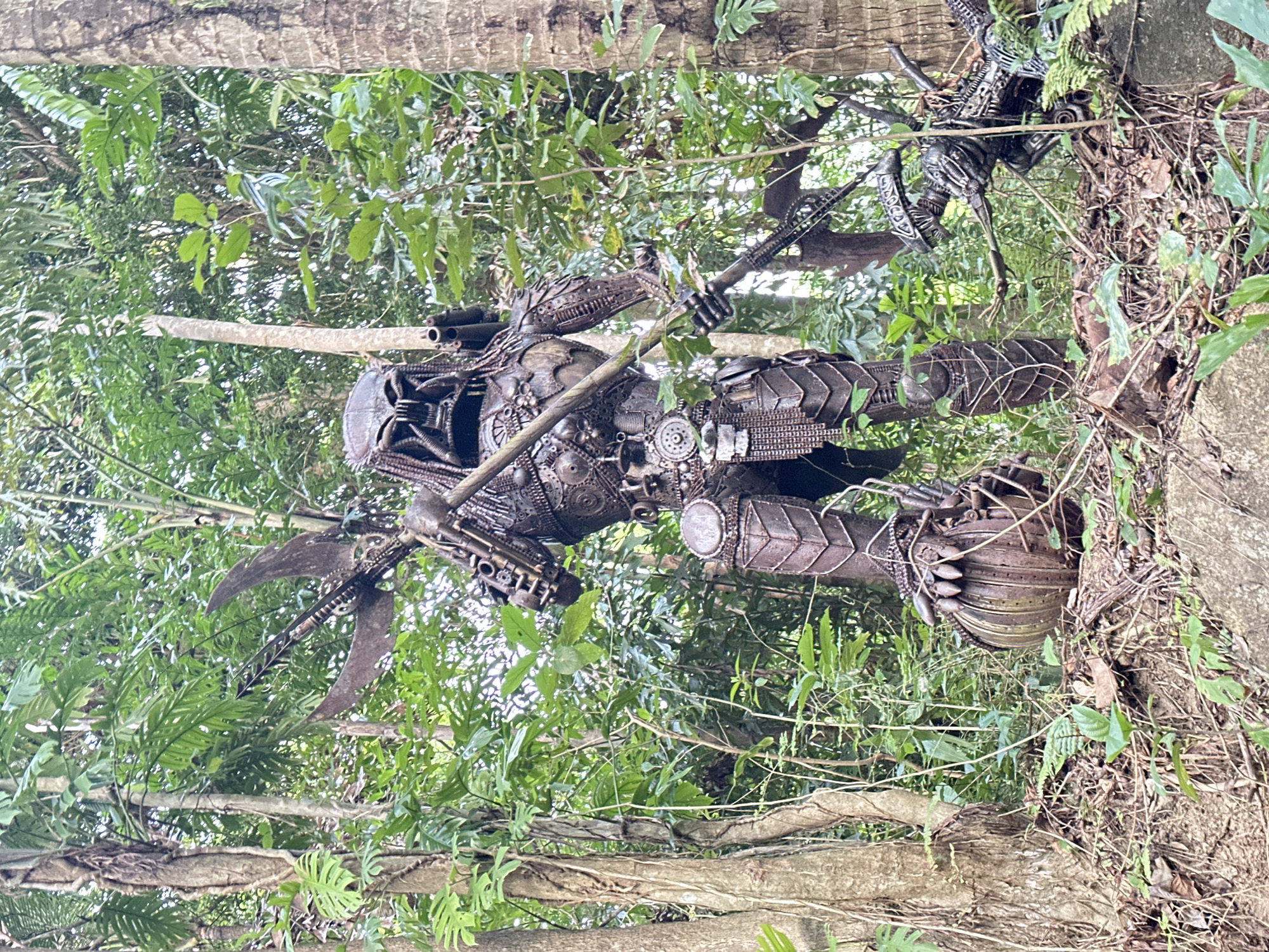 In the city of Baan Lipa Noi, Thailand, a life-sized sculpture resembling the Predator from the film franchise stands amidst lush green foliage. The sculpture, constructed from metal, is positioned centrally in the frame, holding a metallic spear-like weapon over its right shoulder. The figure's intricate details, including its iconic mask and armored body, are clearly visible. To the right of the Predator sculpture, partially obscured by vegetation, another metallic sculpture resembling a Xenomorph, a creature from the Alien film series, is visible. The environment is characterized by dense tropical vegetation, with large trees and various plants surrounding the sculptures, suggesting an outdoor, possibly jungle-like setting. The ground is covered with leaves and some rocks.
