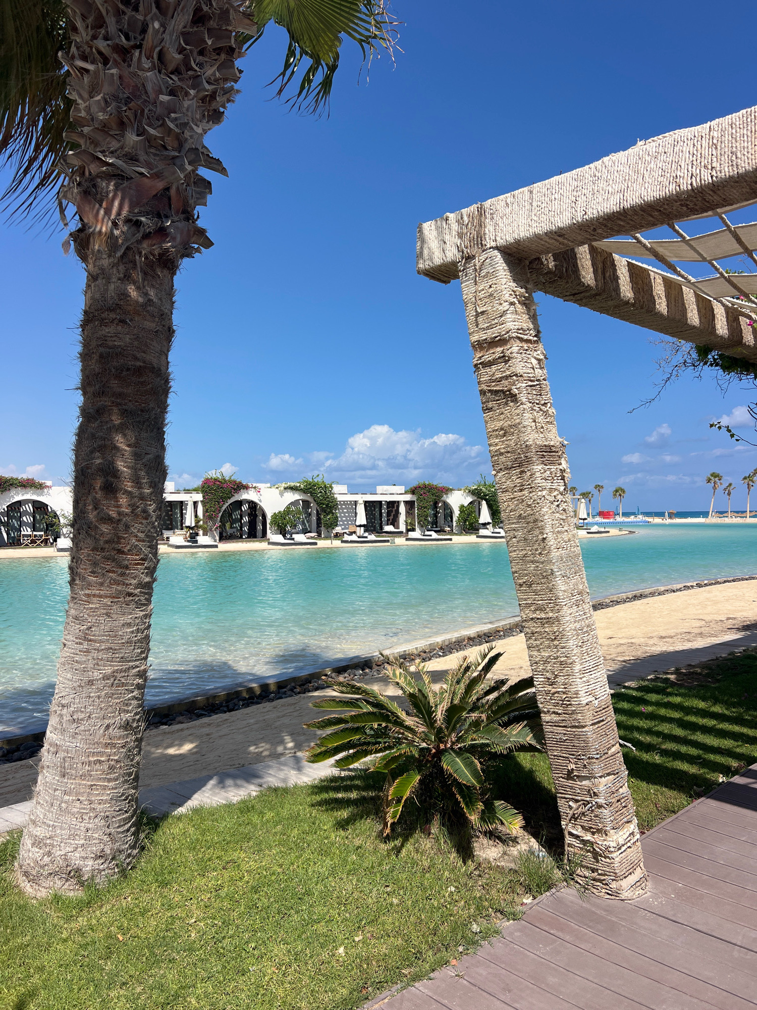 This is a vertical, eye-level, medium shot photograph of a resort with a large, artificial lagoon in Sidi Abdel Rahman, Egypt. In the foreground, a large palm tree trunk stands on the left, and a rope-covered pergola extends from the right. Behind the palm tree, the bright turquoise water of the lagoon is visible, with its clear shallows and darker depths. Along the far edge of the lagoon, there is a white, modern building with arched openings, each housing lounge chairs and umbrellas. This building is partially covered in flowering vines. Beyond the lagoon, more palm trees line a distant beach, and the blue ocean stretches to the horizon under a clear, blue sky with scattered white clouds. The ground in the foreground is covered with green grass and a wooden deck.