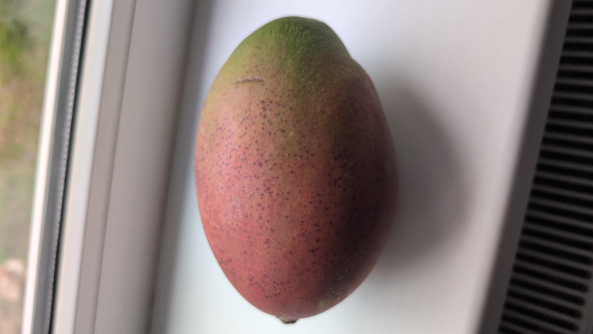 A ripe mango rests on a white windowsill. The mango is oval-shaped and its skin displays a gradient of colors, ranging from deep red on one end to a vibrant green on the other. Small dark spots are visible across the surface of the fruit. The windowsill is made of a white material, and a black ribbed radiator is visible below it. In the background, through a slightly out-of-focus window, hints of green foliage can be seen, suggesting an outdoor environment. The image appears to have been taken indoors. The location of Izmail, Ukraine, is irrelevant to the visual content of the image.