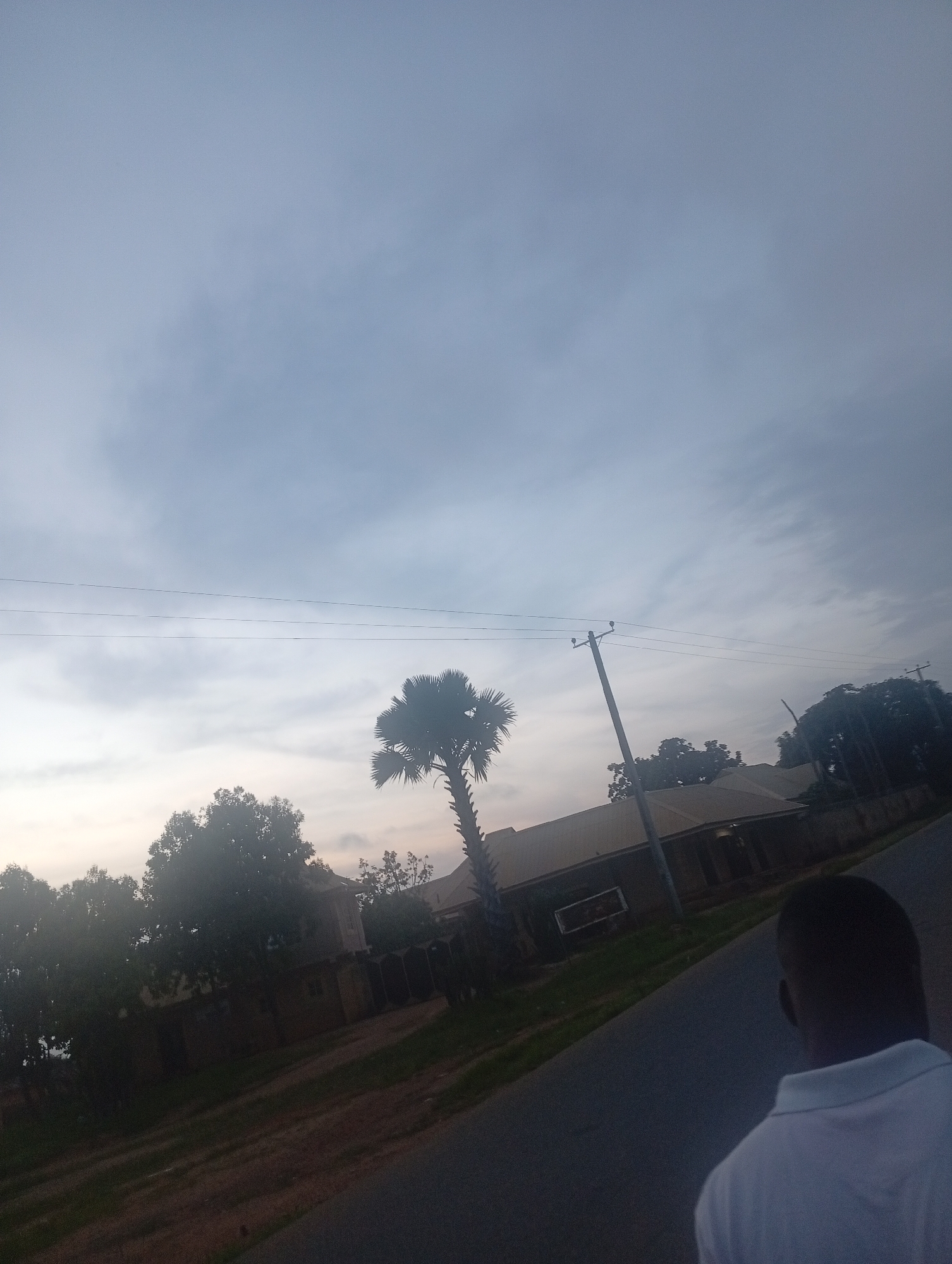 The image captures a slightly tilted, outdoor scene, likely taken during the day under overcast skies. In the foreground, a person, viewed from behind, is wearing a white collared shirt and walking on an asphalt road. The road slopes upwards and curves to the right. To the left of the road, there is a grassy area with some dirt paths and a dark-colored fence. Beyond the fence, several houses with light-colored roofs are visible, interspersed with dense foliage and trees. A prominent palm tree stands on the left side of the frame, its fronds spread wide. Utility poles and power lines are also present, stretching horizontally across the middle ground. The sky is filled with grey clouds, suggesting a cloudy or possibly a pre-rainy day. The overall impression is that of a residential area within a city, possibly Du, Nigeria, given the stylistic elements of the houses and vegetation.