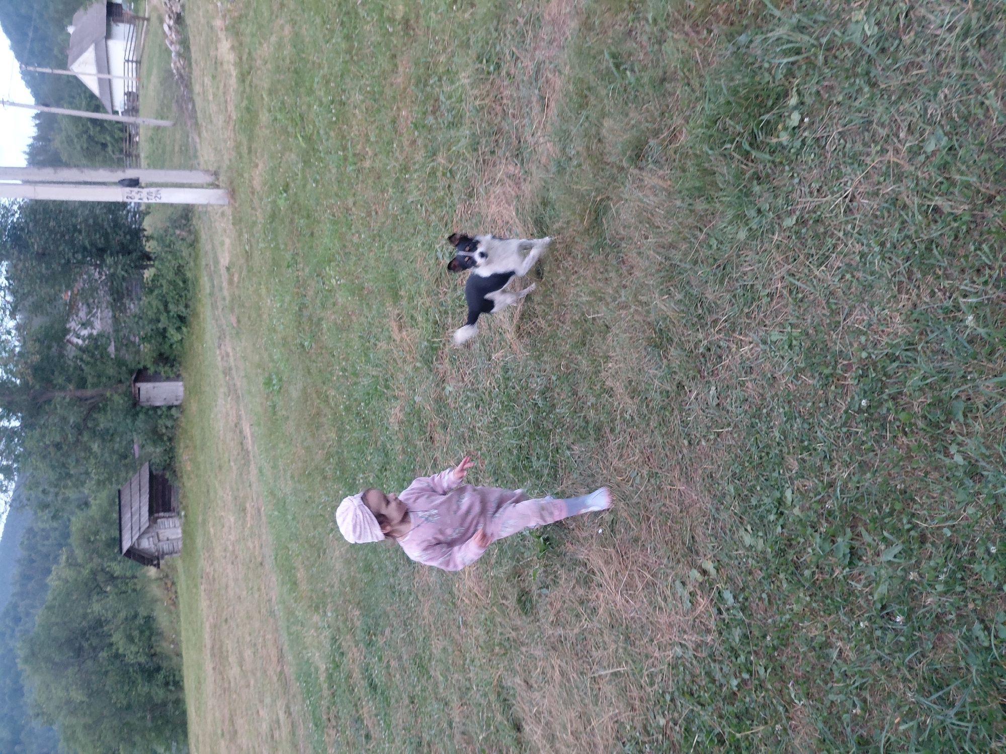 A young child wearing a pink outfit and a pink head covering walks across a grassy area. A small black and white dog, with erect ears and a white-tipped tail, runs beside the child. In the background, a rustic wooden shed and a simple white house are visible, surrounded by trees and a hilly landscape. The scene appears to be set in a rural area, possibly in the city of Chernyk, Ukraine, given the context. The overall impression is one of a peaceful, outdoor setting with a child and a pet enjoying their time together.