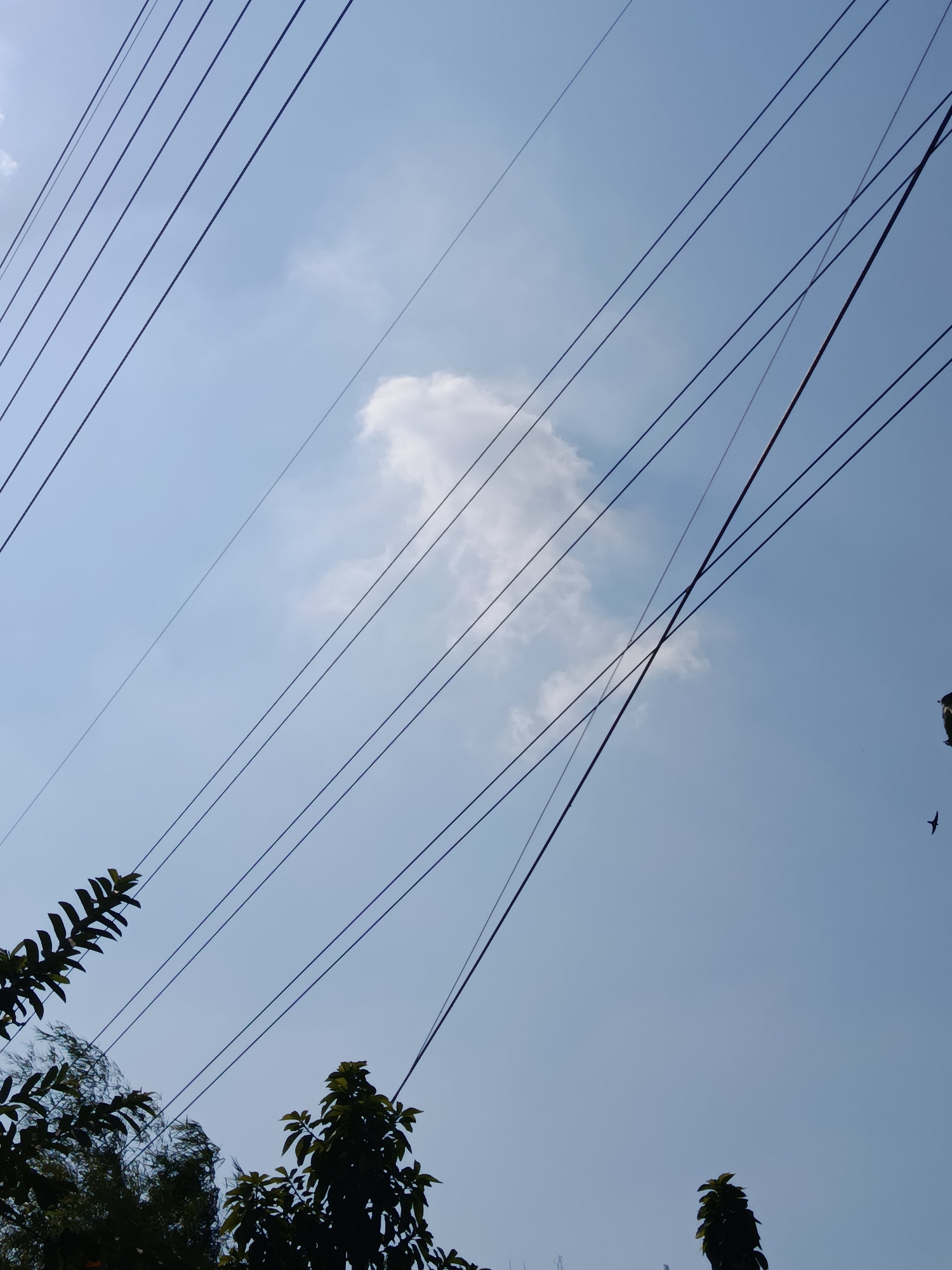 The image shows a clear blue sky in Wanasari, Indonesia, with several power lines stretching diagonally across the frame. A single fluffy white cloud is visible in the upper center of the image. The lower portion of the image features the tops of dark green trees and foliage. In the upper right portion of the sky, a small black bird is silhouetted against the sky.