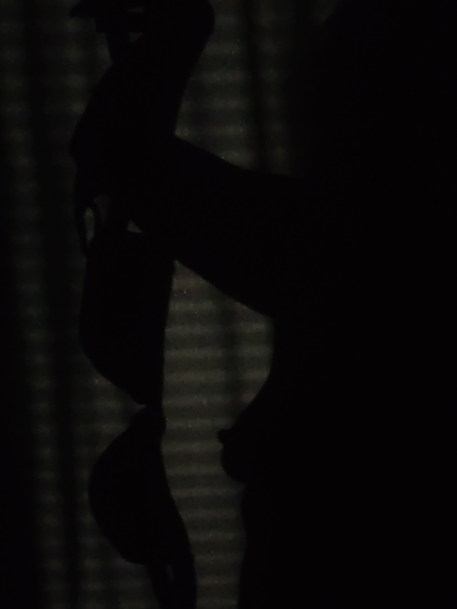 The image presents a dark, high-contrast silhouette of a human form, or possibly two figures, against a subtly patterned background. On the right, the distinct outline of a woman's torso is visible, including a breast and parts of an arm or shoulder. An elongated, dark shape extends vertically on the left, appearing to meet the figure on the right in the central part of the frame. This composition suggests either an intimate interaction between two individuals, such as an embrace or a kiss, or an artfully posed single figure.
The background is dimly illuminated, revealing a repeating horizontal or grid-like pattern, indicative of light filtering through blinds or venetian blinds. This detail places the scene indoors, likely in a low-light environment, possibly at night. The overall aesthetic is dark and slightly grainy, typical of photography under challenging lighting conditions. The image emphasizes form and shadow, evoking a sense of intimacy, mystery, or artistic expression. No text is visible within the image. The visual content does not provide specific cues to identify the location as Markovskii, Russia.