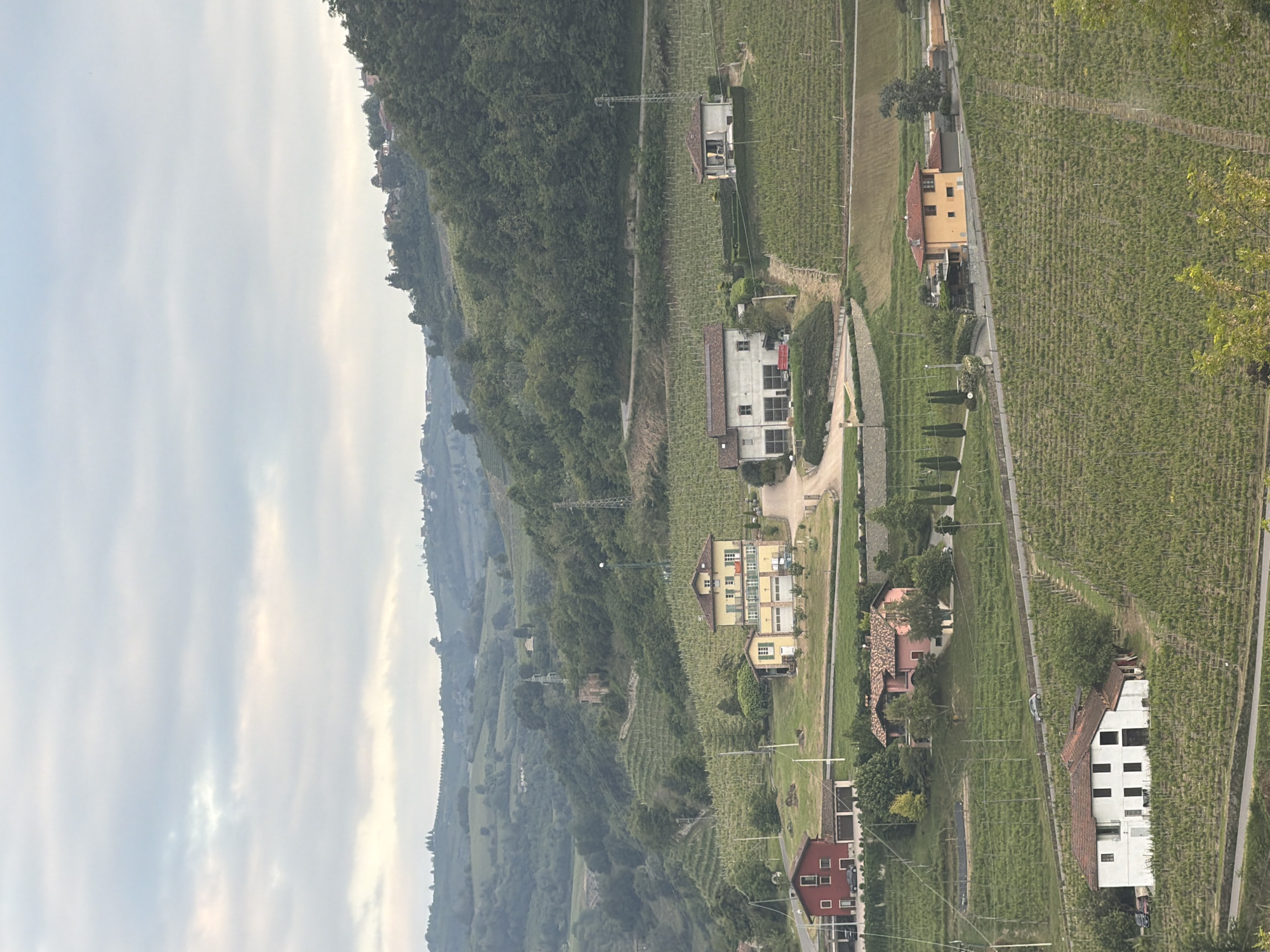A landscape-oriented photograph shows a view of Santo Stefano Belbo, Italy, with the sky on the left, a mountain range with tree cover transitioning into a vineyard area interspersed with structures. The vineyard is on the right, exhibiting rows of grapevines. Several buildings, in varying architectural styles and color schemes, are positioned within the landscape, near a road. The sky is overcast, appearing dull with a mix of cloud cover and sunlight. The trees are lush with greenery. The landscape is mostly green, and there is visible haze in the distance.