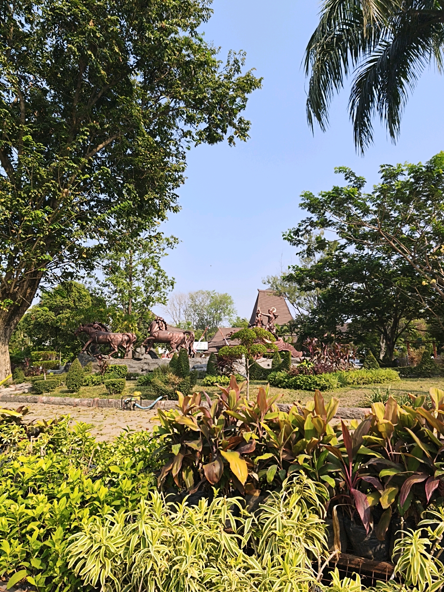 This image depicts an outdoor scene, likely in a park or garden, with a clear blue sky overhead. In the foreground, a variety of lush green and red-leafed plants are visible. Behind these, a landscaped garden area features manicured bushes and a stone pathway. Dominating the middle ground is a bronze sculpture of several galloping horses. Further back, a traditional-looking building with a distinctive roofline is visible, along with more trees and foliage. The overall impression is one of a well-maintained public space. While the image does not explicitly identify its location, Surakarta, Indonesia is known for its rich cultural heritage and natural beauty, making such a scene plausible within the city's parks or historical sites.