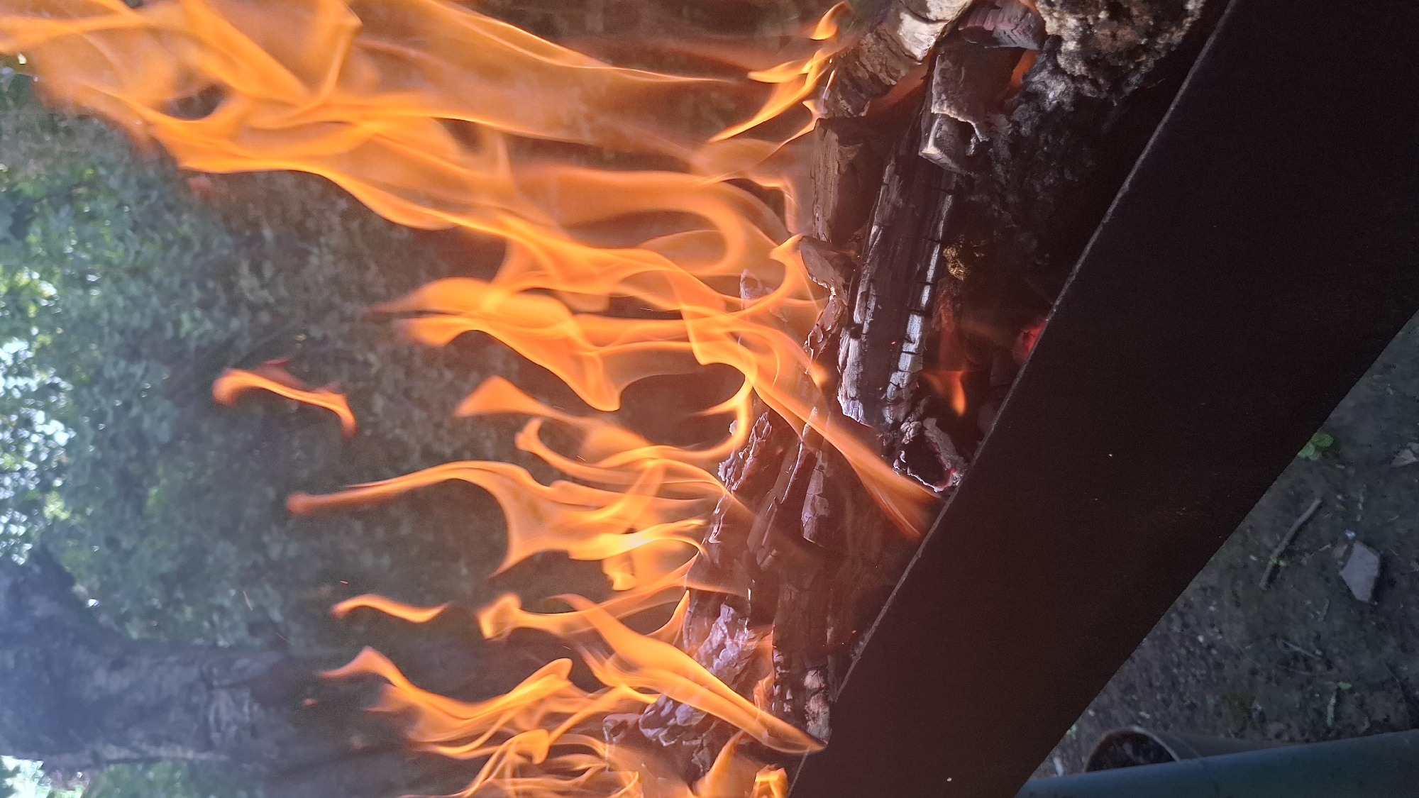 The image depicts a close-up view of a bonfire burning in a dark metal brazier, likely outdoors. The fire is intense, with bright orange and yellow flames consuming split logs of wood. The logs appear to be dry and are stacked within the brazier, with some glowing embers visible beneath the flames. In the background, out of focus, is a dense green foliage of trees and bushes, suggesting a natural or park-like setting. The ground beneath the brazier is dark and appears to be dirt or gravel, with some scattered twigs and small stones. The lighting suggests it is either dusk or the scene is shaded, as the primary light source is the fire itself. There are no people visible in the frame, and the focus is entirely on the fire and the immediate surroundings. The image is taken from a slightly elevated perspective, looking down into the brazier. The location is identified as Шұбарсу, Kazakhstan.