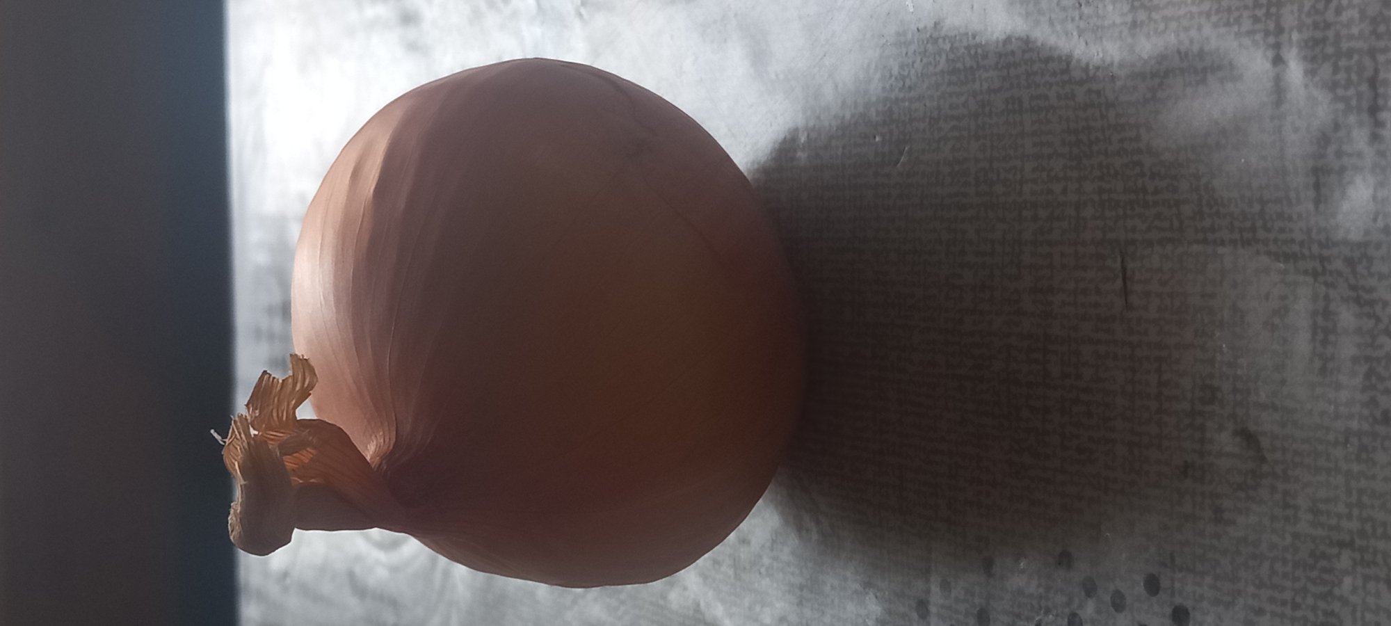 A medium-sized yellow onion sits on a surface with a repeating pattern reminiscent of fine print, casting a shadow. The onion is intact with dry outer layers and a small cluster of papery roots or stems at one end. The background transitions from a dark, undefined area on the left to a brighter, patterned surface. The location is indeterminable from the image. The image is a still life.