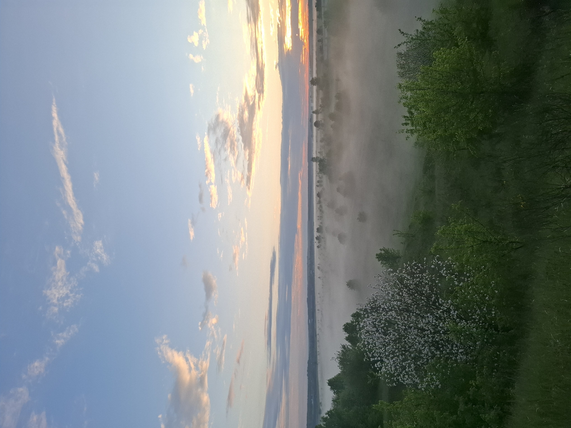 The image depicts a landscape scene in Khlevnoye, Russia. The sky, transitioning from blue to orange at the horizon, contains light clouds. Below the sky is a body of water, possibly a river or lake, partially obscured by fog. The foreground is dominated by trees and vegetation, including a blossoming tree with white flowers. A layer of fog partially obscures the trees, adding a sense of depth to the scene.