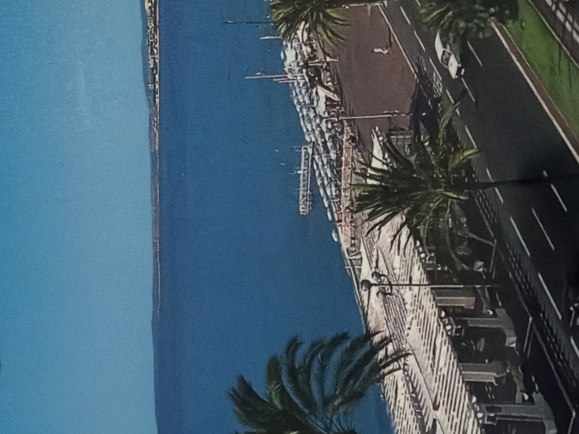 This is a vertically oriented, high-angle shot of a coastal city scene. The left side of the image is dominated by a vast expanse of deep blue water, suggesting the sea or a large bay. Along the right edge of the water, a bustling promenade or boardwalk runs parallel to the coast. This area is lined with buildings, some of which appear to be restaurants or shops with outdoor seating. Palm trees are interspersed along the promenade, indicating a warm climate.
Beyond the promenade, a road is visible, with white lines marking the lanes. A white car is driving on this road. The architecture of the buildings and the presence of palm trees suggest a Mediterranean or similar coastal resort town.
Further out in the water, several boats and yachts are moored, indicating a harbor or marina. The boats are of various sizes, with some appearing to be larger vessels.
The overall impression is of a vibrant, sunny day in a popular tourist destination. The image is slightly blurry and appears to be a photograph rather than a painting or digital rendering. There is no visible text in the image. The suggested location of Kyiv, Ukraine, is not visually supported by the content of the image.