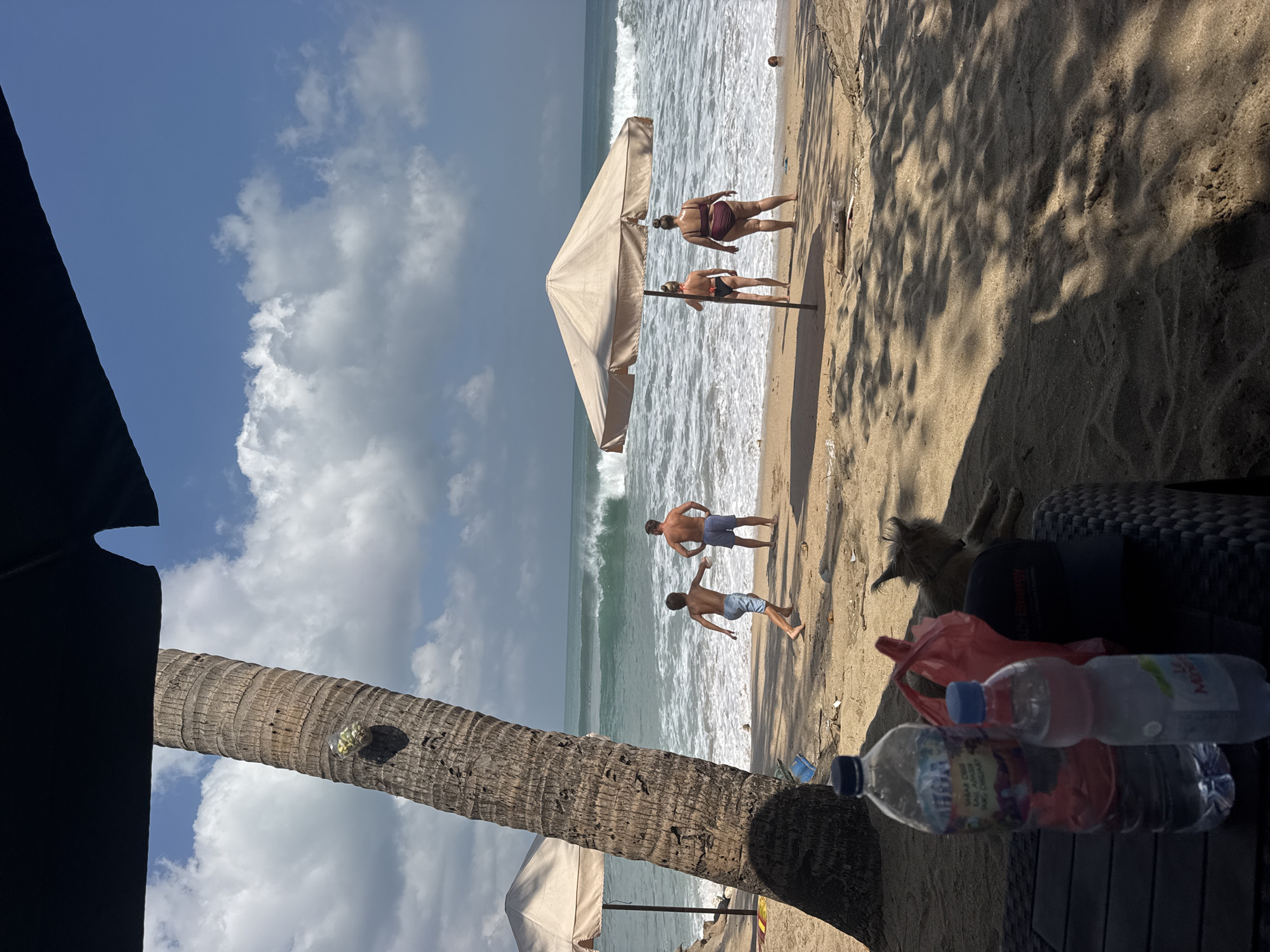 A sunny day at Kuta Beach, Indonesia, where the ocean waves crash onto the sandy shore. A tall palm tree stands prominently on the left, casting a shadow. In the distance, a group of people are enjoying the beach: a young boy in light blue shorts runs towards the water, while an adult male in darker blue shorts stands observing. Further out, under a beige umbrella, two women in swimsuits are positioned near the water's edge. A brown dog rests on the sand near some items on the foreground, which include two water bottles, a red bag, and a dark baseball cap. The sky is blue with scattered white clouds, indicating good weather for a beach day.
