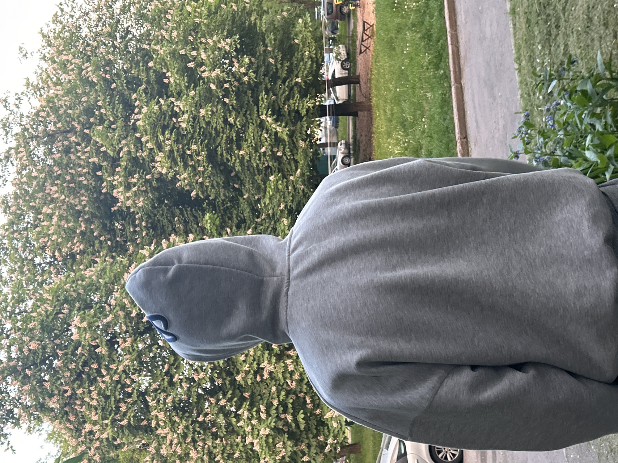 A person wearing a gray hooded sweatshirt stands outdoors. The person is positioned in front of a large tree covered with small white flowers. A grassy area and sidewalk are visible to the right of the person, with some plants growing nearby. Cars are parked in the background near some playground equipment.