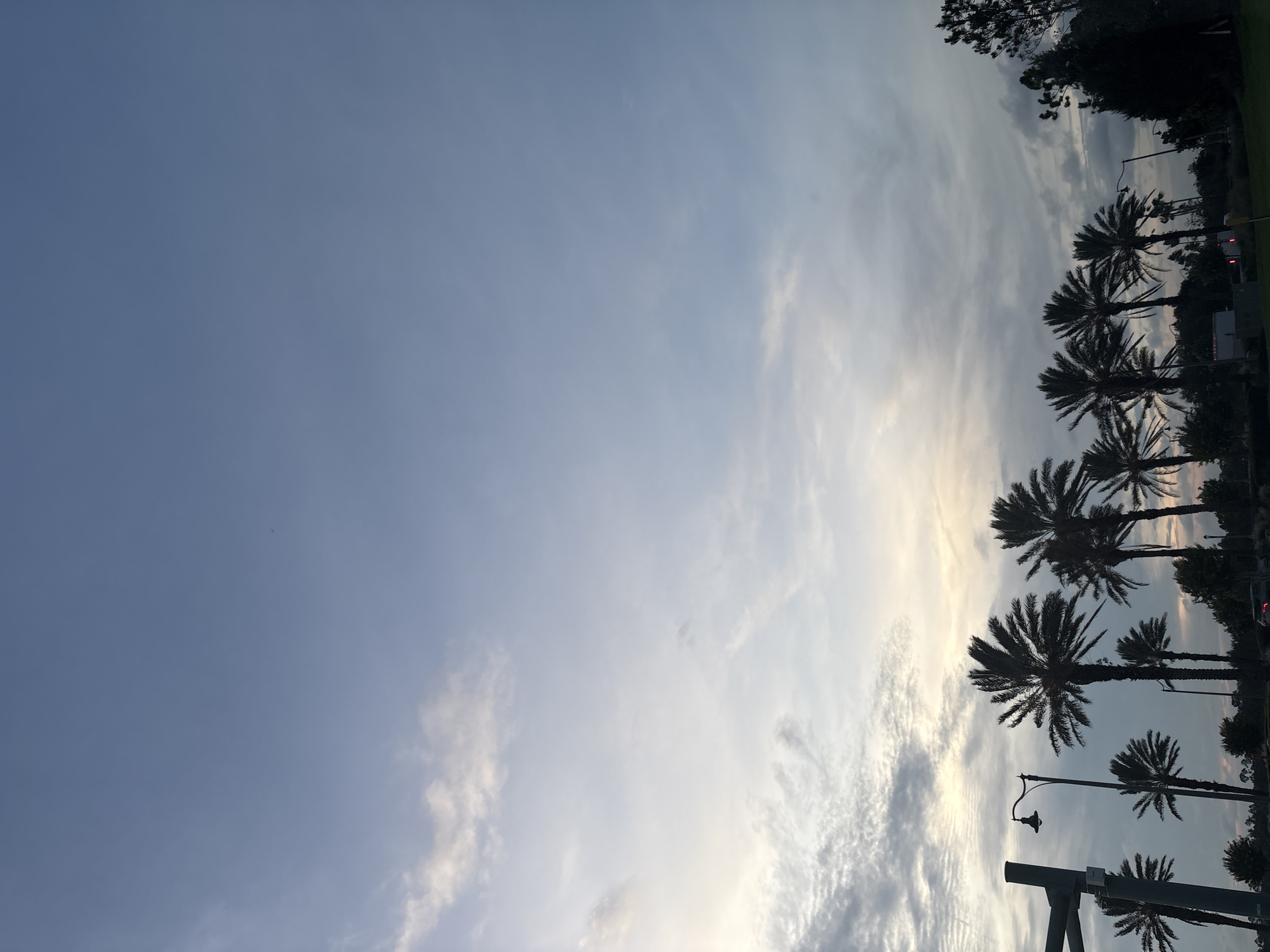 A serene evening sky is captured over North Port, Florida, USA, with the sun having recently set. The sky is a gradient of soft blues and grays, with wispy clouds illuminated by the fading light. A line of silhouetted palm trees stands in the foreground, their fronds creating a delicate pattern against the twilight sky. Several streetlights are visible, casting a warm glow. In the background, the subtle outlines of trees and distant buildings suggest a suburban or urban fringe environment. The overall atmosphere is peaceful and tranquil, characteristic of a quiet evening in a warm climate.