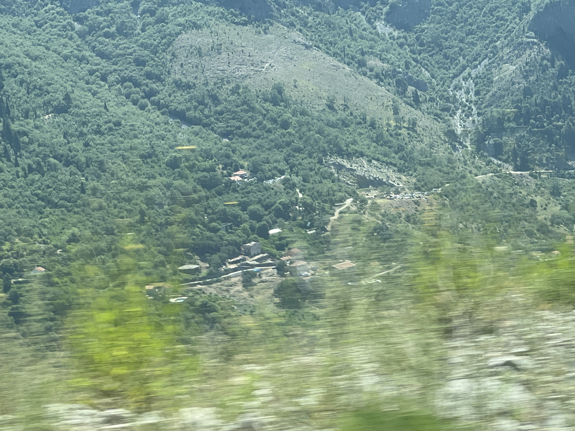 The image depicts a panoramic view of a mountainous, verdant landscape, likely in Risan, Montenegro. The terrain is characterized by steep, densely forested slopes, with patches of exposed rock and gravel. Scattered throughout the scene are a few buildings, appearing to be houses or small structures, nestled within the greenery. Some of these buildings have red tiled roofs. A winding road is visible, snaking its way through the mountainside, with a cluster of vehicles parked near one of the buildings. The foreground is blurred due to motion, suggesting the image was taken from a moving vehicle, with the out-of-focus foliage in the foreground creating streaks of green and white. The overall impression is of a rural, mountainous area with a few scattered human settlements.