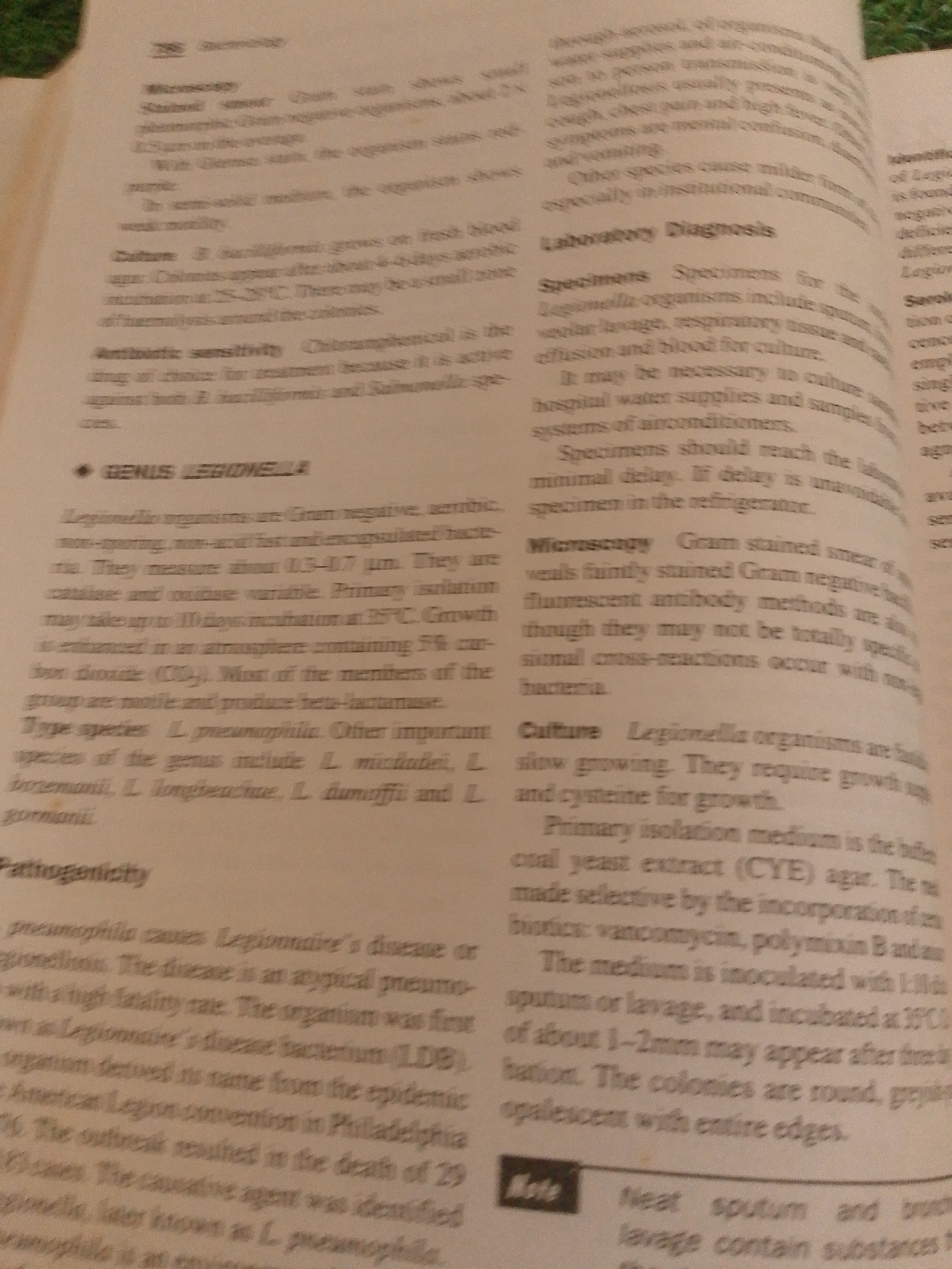 This image shows a page from a textbook or reference book. The text discusses microorganisms, specifically the genus Legionella, its characteristics, laboratory diagnosis, and pathogenicity. The page is divided into sections with headings like "Microscopy," "Culture," and "Pathogenicity." There is also a section labeled "Laboratory Diagnosis" with subsections for "Specimens" and "Microscopy." A prominent heading "GENUS LEGIONELLA" indicates the main subject. The text describes the appearance of the bacteria, growth requirements, and the disease it causes, Legionnaires' disease. A small box with the heading "Note" is visible at the bottom, containing some text related to sputum and lavage. The overall scene is that of an educational document, likely a biology or medical textbook, with printed text and no images.