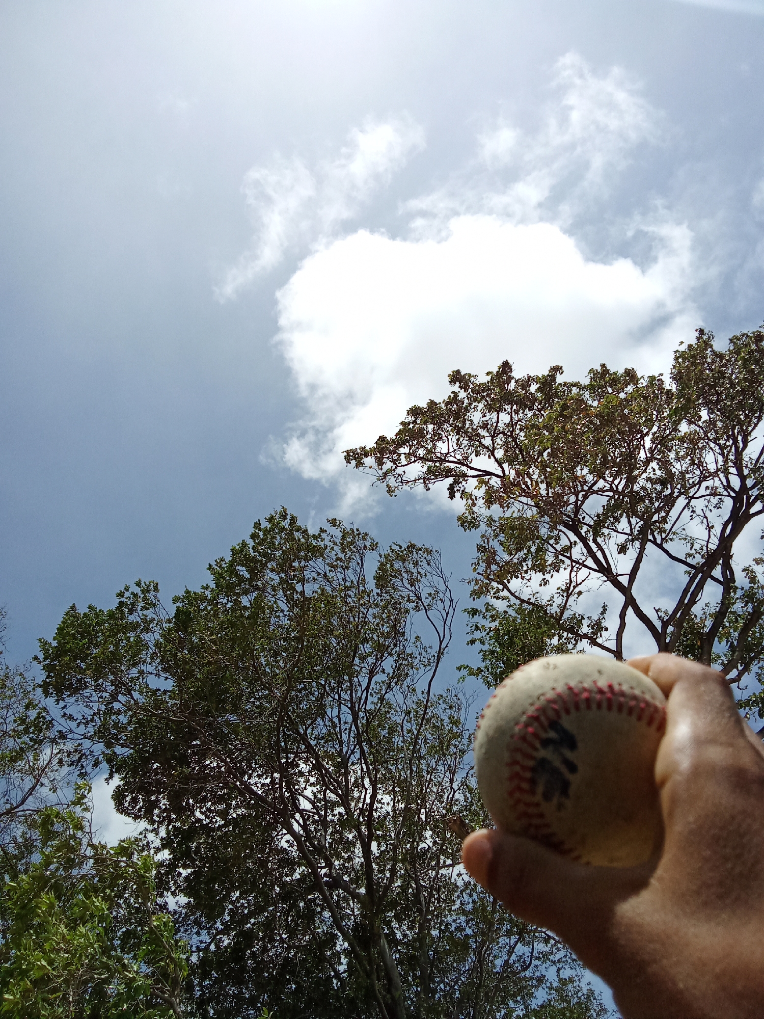The image shows a baseball held in a hand, set against a backdrop of trees and a partly cloudy, blue sky. The location is inferred as Juan Griego, Venezuela, based on the prompt. There are no visible people or interactions aside from the hand holding the baseball. The environment consists of trees, the sky, and clouds. The baseball is white with red stitching.