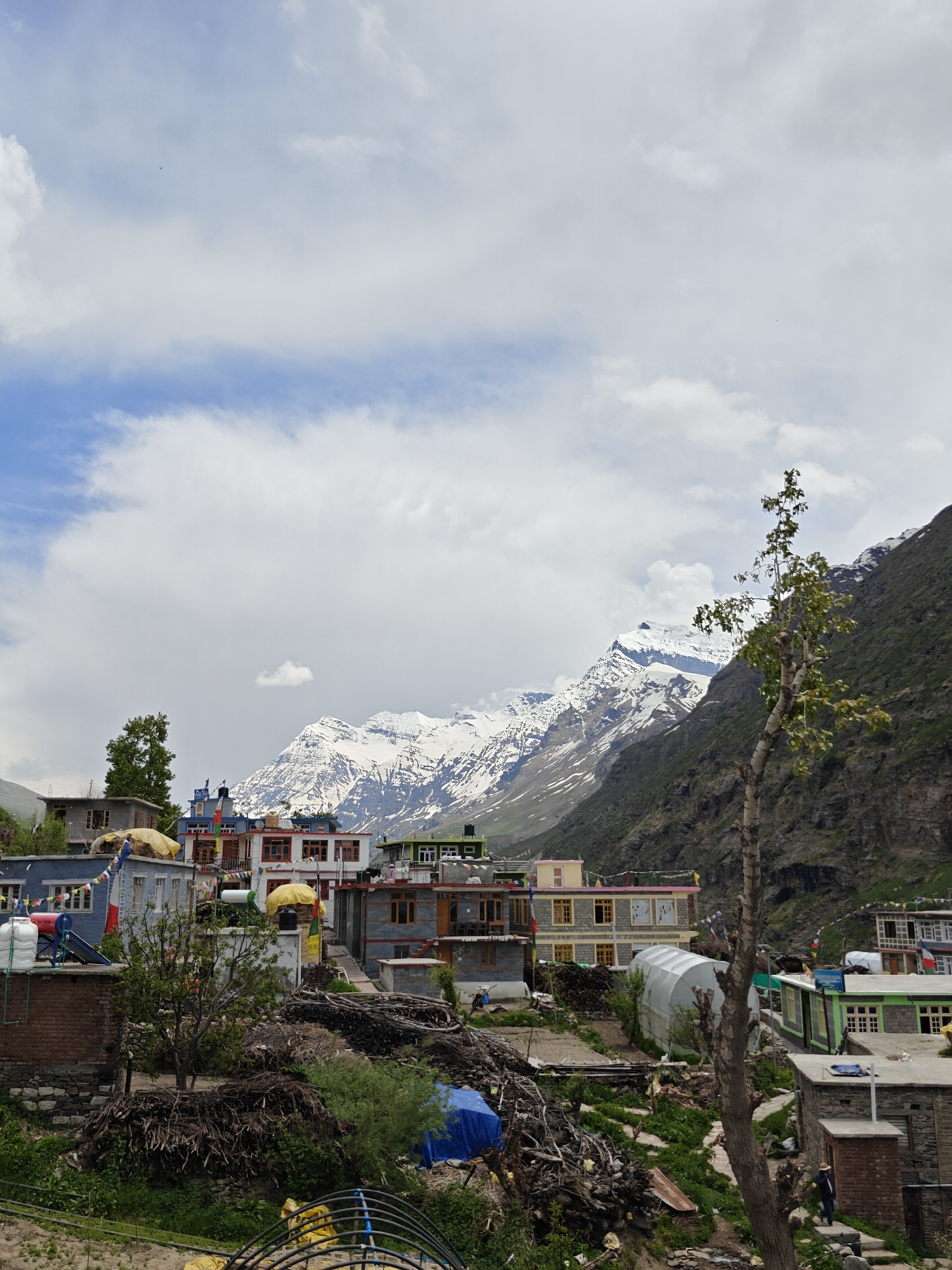 This image depicts a hillside village in Yamling, India, set against a backdrop of snow-capped mountains under a partially cloudy sky. The village consists of closely packed, multi-story buildings with varied architectural styles and colorful exteriors. Some buildings have flat roofs. There are tarps placed over some of the roofs.
In the foreground, there are piles of branches and vegetation. A small, unpaved area is visible along with the top of a greenhouse. A lone, thin tree stands in the right foreground. On the right, a person is barely visible walking down stone steps.