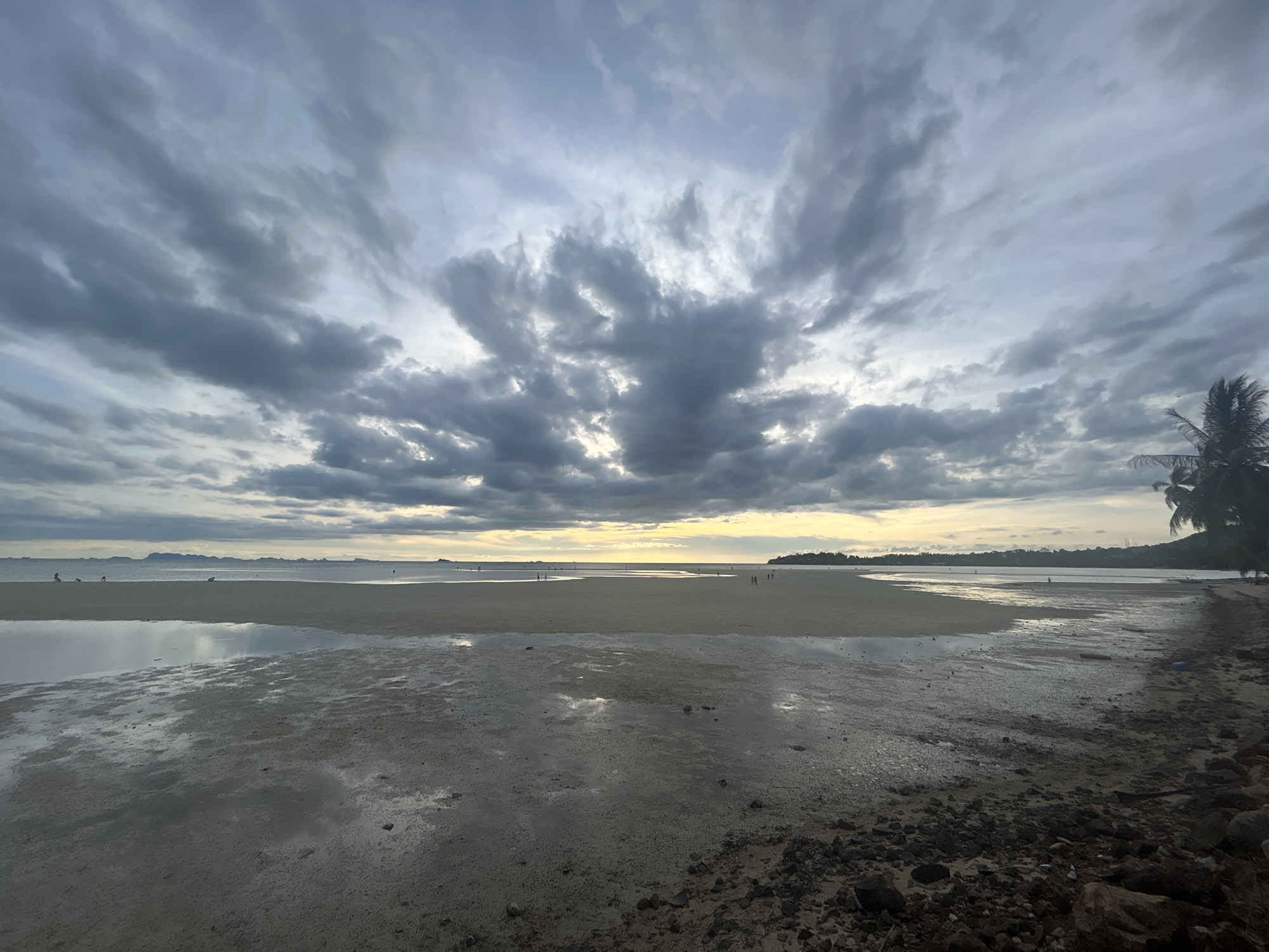 The image depicts a coastal scene in ตำบลเกาะพะงัน, Thailand. The foreground features a beach with exposed sand and mud flats at low tide. There are rocks along the immediate bottom edge. In the mid-ground, the tidal flats extend towards the sea. A few individuals are visible walking on the beach, appearing as small figures in the distance. The background shows the coastline with vegetation on the right and distant landforms further out at sea. The sky is filled with dense, grey clouds that dominate the upper portion of the image. There is a hint of light breaking through the clouds near the horizon. A palm tree is visible on the right.