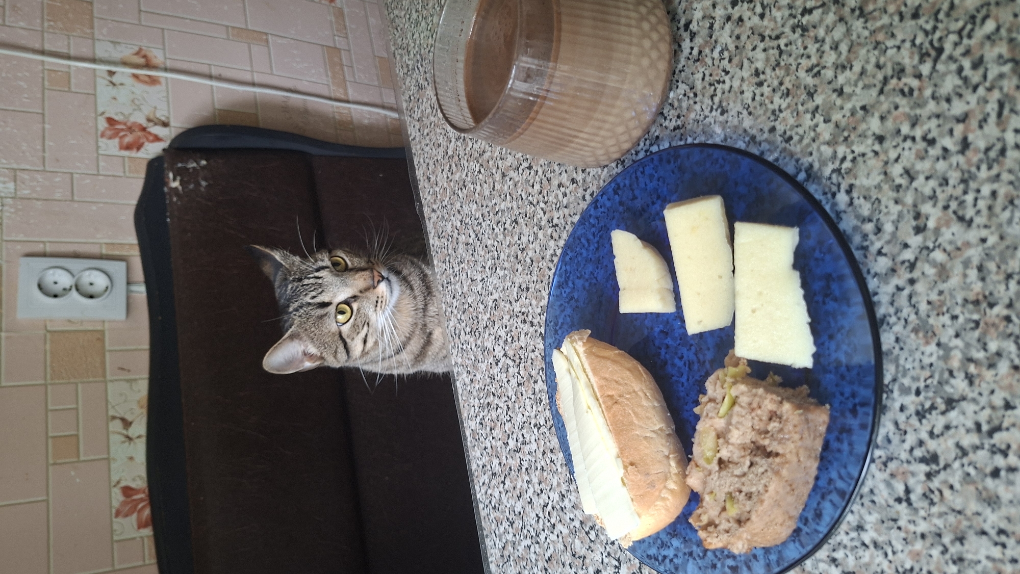 An eye-level, medium shot captures a tabby cat with yellow eyes sitting behind a speckled granite countertop. The cat is looking to its right, with its head slightly turned. In the foreground, a blue plate contains a half-eaten sandwich on a bun topped with what appears to be cheese or a spread, a slice of meatloaf, and three pieces of cheese. To the right of the plate, a clear glass holds a light brown beverage. The background shows a brown upholstered chair with torn fabric and a tiled wall with a decorative floral pattern and a white electrical outlet. The scene is indoors, likely a kitchen or dining area. No specific location in Myadzyel, Belarus is discernible from the image.