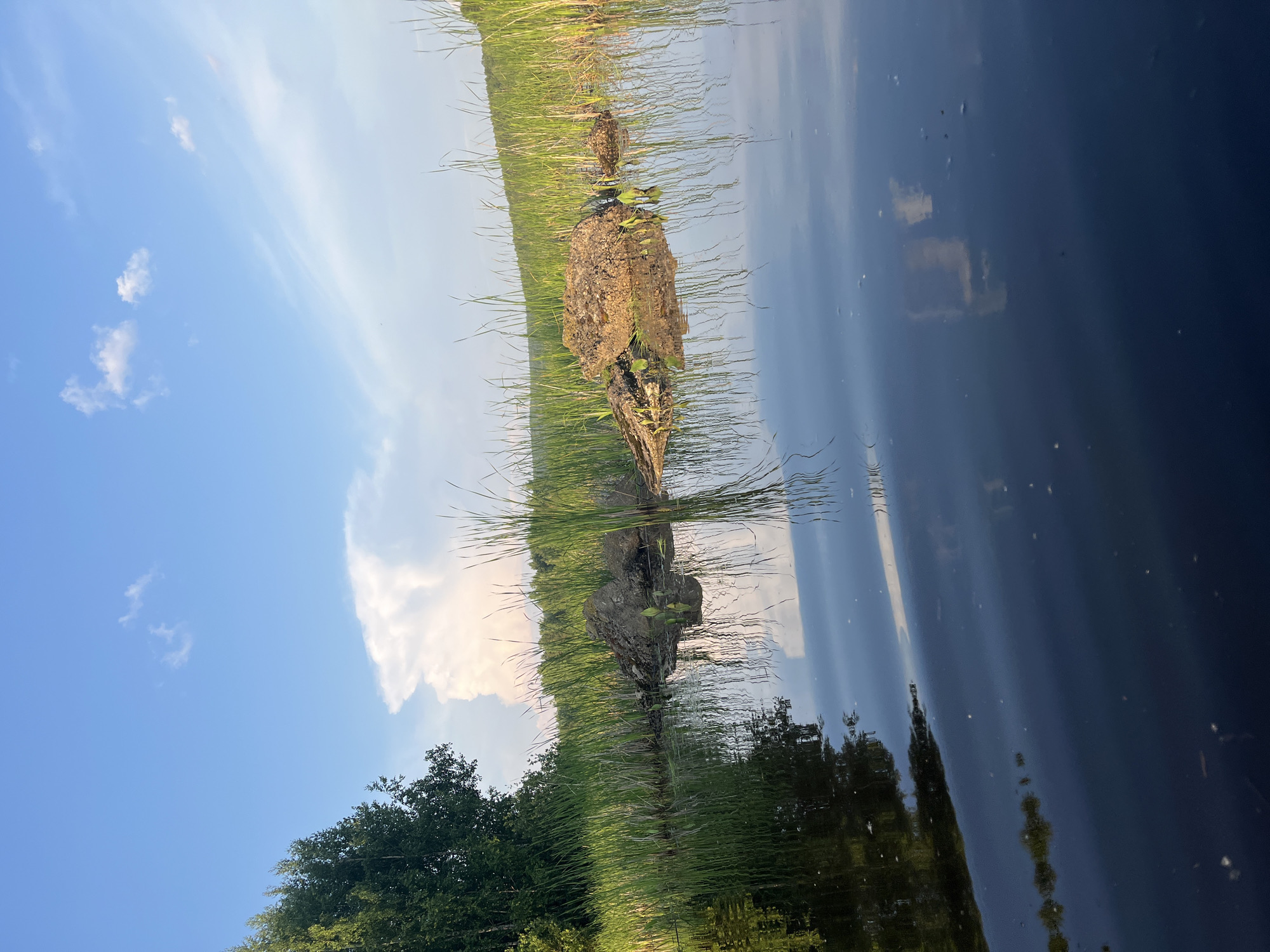 A body of water, likely a river or lake, with reflections of the sky and surrounding vegetation. Tall reeds and some trees line the bank in the background. In the water, there are some large rocks or debris, partially submerged and covered in reeds. The sky is blue with scattered white clouds, and the overall scene suggests a natural, outdoor environment. This image depicts a section of the Kama River near Chaikovsky, Russia.