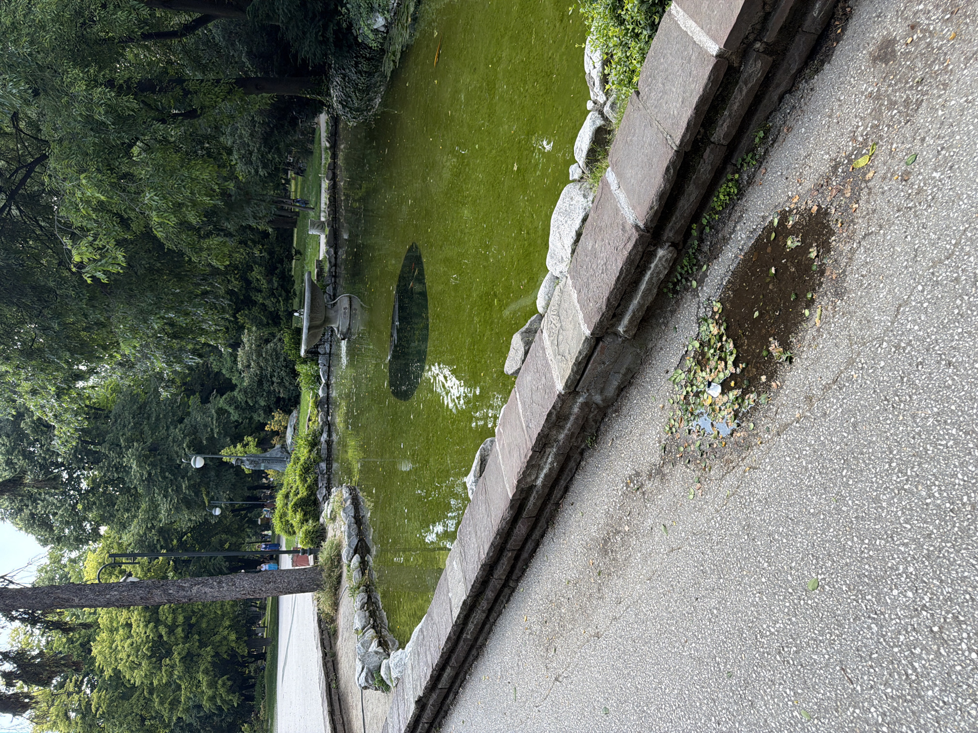 This detailed image captures a daytime scene within the Tsar Simeon Garden in Plovdiv, Bulgaria. The primary view is of a landscaped park environment, featuring a pond, paths, and dense greenery.
In the immediate foreground, a grey asphalt path extends from the bottom left, curving slightly towards the right. A low retaining wall constructed from stacked rough-hewn rectangular dark stone blocks, approximately three layers high, borders the path on the right. Adjacent to this wall, on the path itself, a small, dark puddle containing wet leaves and debris is visible.
Beyond the path and retaining wall, a pond dominates the midground. The water is a vivid green due to significant algae growth. A classical, multi-tiered stone fountain with water actively flowing is positioned on the left side of the pond. Further to the right in the pond, a distinct dark, circular reflection or submerged object is present. Two orange-colored fish are faintly discernible beneath the green surface, one in the mid-right, the other further back. The pond's edge is lined with irregularly placed natural rocks.
The background reveals a lush park landscape with numerous tall deciduous trees featuring dense green foliage, creating a canopy. A wide, light-colored gravel or paved path is visible in the upper-left background, where several indistinct individuals are walking. One prominent tree trunk stands vertically in the left mid-ground, close to the pond. Two black, ornate street lamps with spherical white globes are visible: one directly behind the prominent tree trunk, and another further to the right. To the right of the first lamp post, positioned on a low pedestal behind the pond's rock border, stands a dark, full-body statue of a male figure in historical attire, likely depicting Tsar Simeon. Additional narrower paths and more trees extend into the deeper background.
Several people are sparsely distributed in the background, primarily on the wider path. Approximately 5-7 individuals are visible, including two women in light-colored dresses in the upper-left, appearing to be strolling casually through the park. No specific actions or interactions beyond general movement are discernible. The scene is illuminated by natural daylight, suggesting a bright outdoor setting.