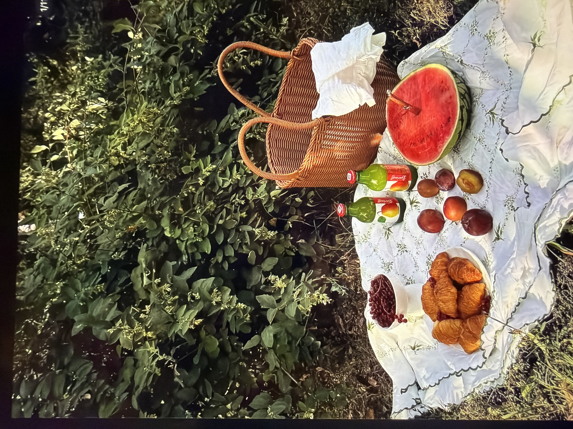 The image displays an overhead view of a picturesque picnic spread laid out on a white blanket with green embroidered details, set amidst lush green foliage. The scene suggests an outdoor gathering in a natural, possibly verdant park or garden setting, consistent with the location context of Ros Na Rí, Ireland. No people are visible.
A prominent wicker picnic basket, containing a ruffled white cloth, sits on the left side of the blanket. Adjacent to it, a large, half-cut watermelon, vibrant red, has a wooden skewer or utensil inserted into its flesh. Nearby, two green glass bottles are visible, both clearly labeled with the brand name "Yummal!". Several dark red and purple plums or nectarines are scattered on the blanket, some appearing halved.
Towards the bottom right of the blanket, a white bowl is filled with multiple golden-brown croissants, and a smaller white cup or bowl contains a generous portion of small red berries, possibly cranberries or currants.
The surrounding environment is dominated by dense green bushes and leafy plants, some adorned with tiny white blossoms, indicating a rich natural backdrop. The lighting appears soft and natural, suggesting a pleasant daytime, possibly late afternoon, suitable for outdoor dining. The overall atmosphere conveys a sense of tranquility and enjoyment of nature with an inviting meal. In the upper left corner of the original image, the text "1/1" is faintly visible.