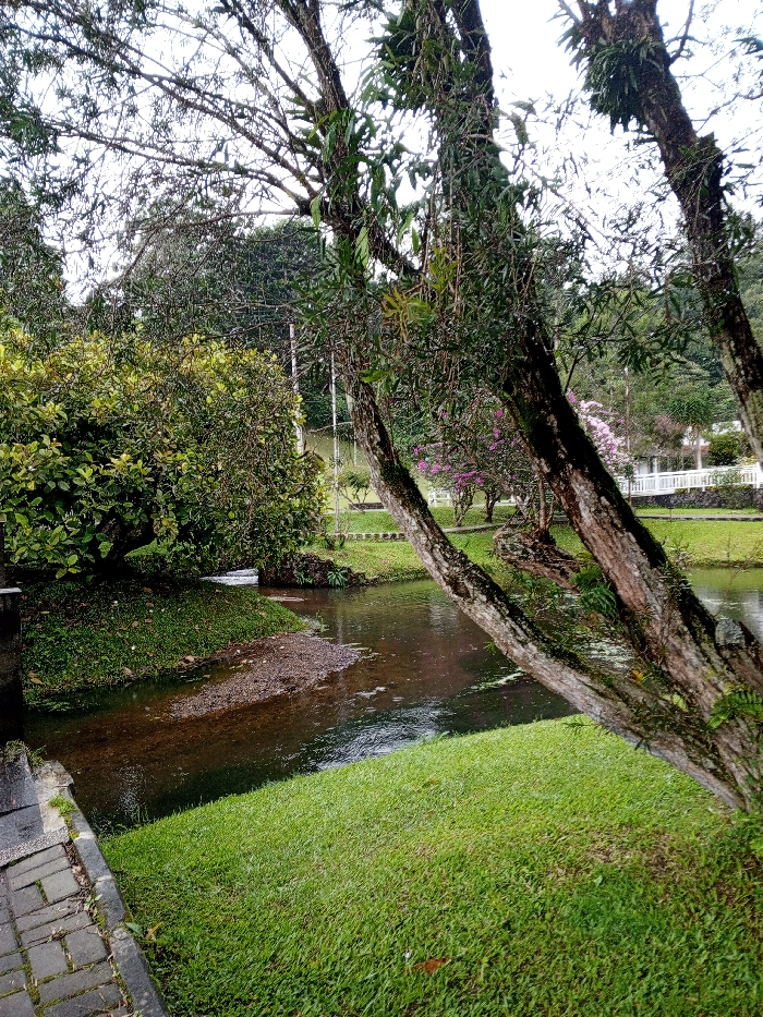 A serene outdoor scene presents a gently flowing stream meandering through lush greenery. Trees frame the view, their branches adorned with vines and leaves. A stone path borders the grass, leading towards the water. Beyond the stream, manicured lawns, flowering bushes, and a white railing hint at a park-like setting in the distance. The water reflects the surrounding vegetation, creating a calm and natural ambiance.