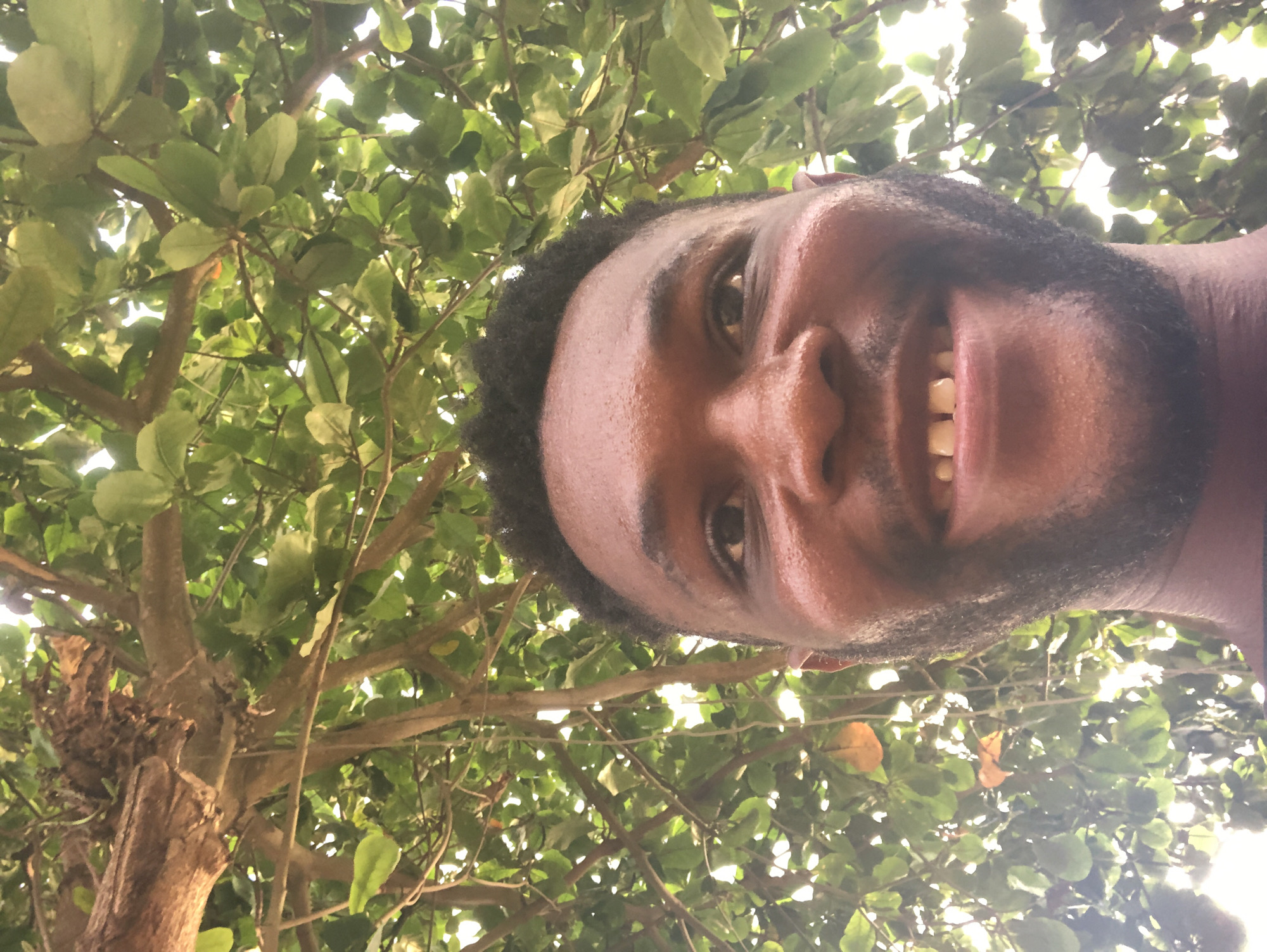 The image shows a close-up, upward-facing perspective of a person with dark skin and facial hair, smiling. The person is positioned against a backdrop of dense green foliage and tree branches, with patches of bright light filtering through the leaves. The location is Unknown, Unknown.