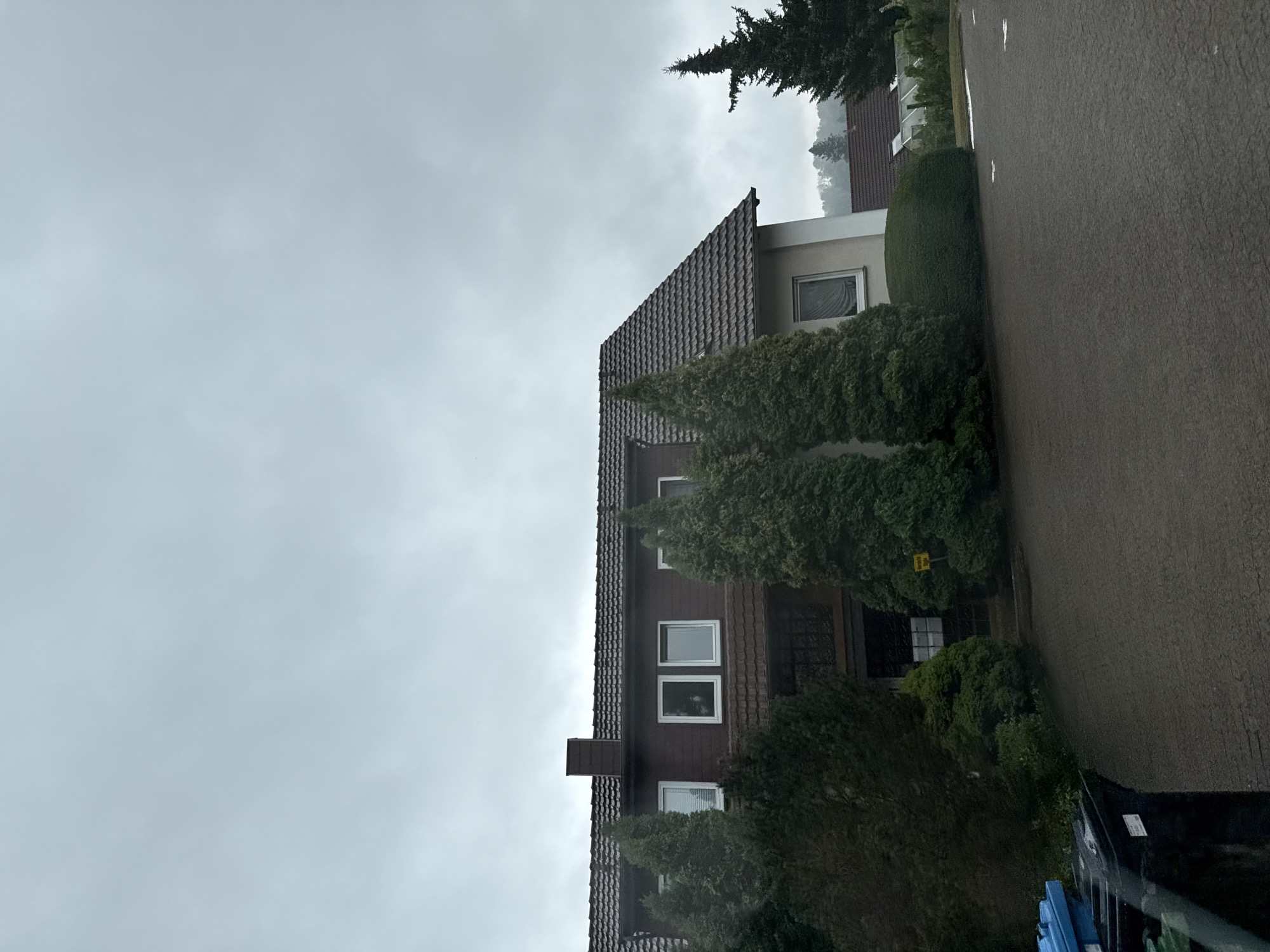The image captures a cloudy day scene in Bad Sachsa, Germany. In the foreground, a paved driveway leads towards a two-story house. The house has a dark brown facade on the upper level with several windows, a dark-tiled roof, and a chimney. A lighter-colored section is visible on the lower right of the house. Several tall, conical evergreen trees are planted in front of the house. To the left of the driveway, two trash bins are visible, one blue and one black. In the background, more houses with tiled roofs and trees are visible, set against a backdrop of rolling hills under a gray, overcast sky. A tall, slender evergreen tree stands out on the right side of the image.