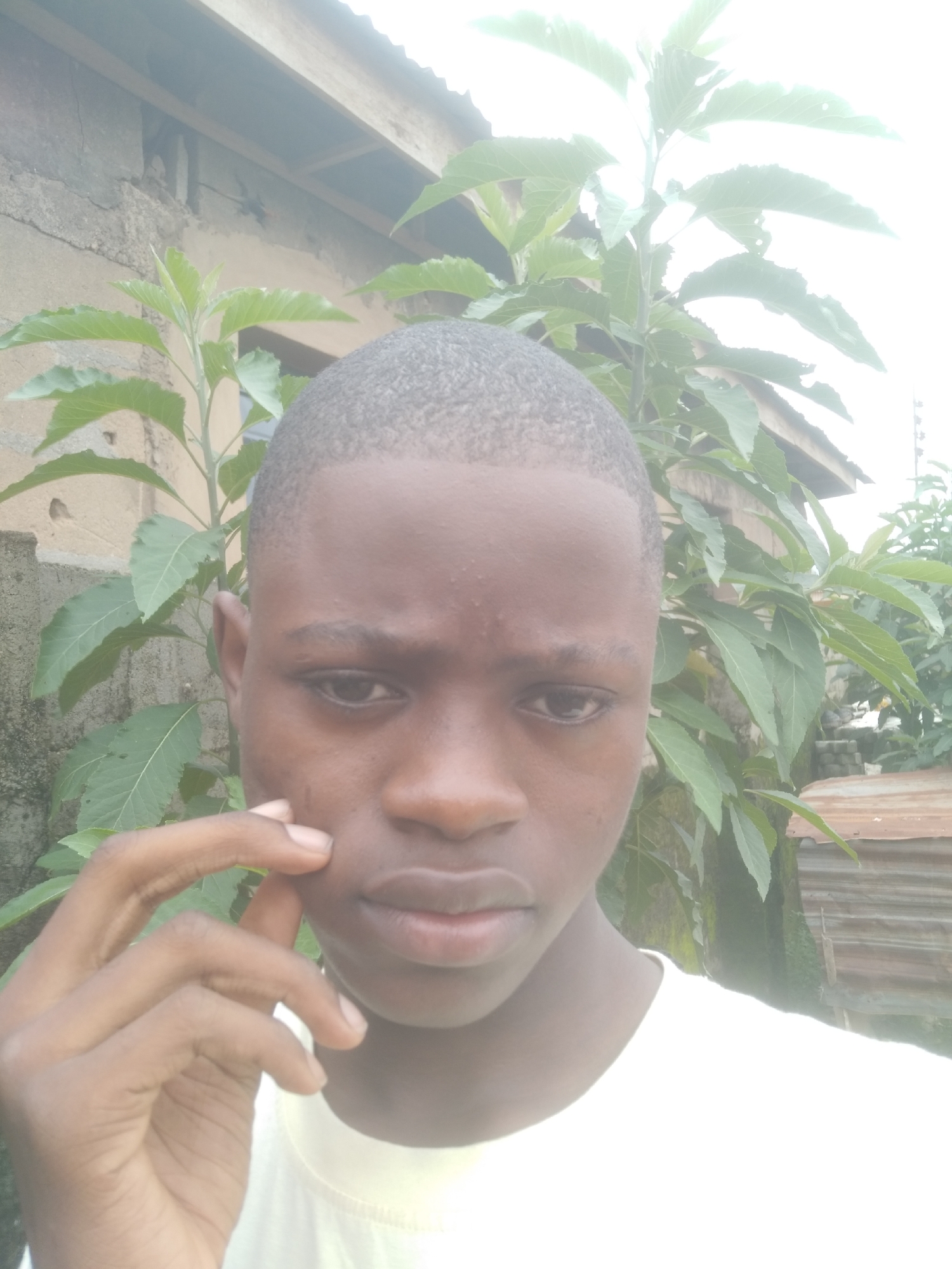 A young man is the primary subject, captured in an outdoor medium shot. He has dark skin and a closely cropped hairstyle. His expression is neutral, and he is touching his cheek with his left hand. The person is wearing a light-colored T-shirt.
Behind him are green leafy plants and what appears to be a concrete or stone building with a corrugated metal roof visible in the background. The lighting appears bright, slightly overexposed.
The location is likely Epe, Nigeria, based on the prompt; however, there is no specific detail to definitively confirm. The scene includes elements of residential architecture and local vegetation, suggesting a domestic or semi-urban setting.