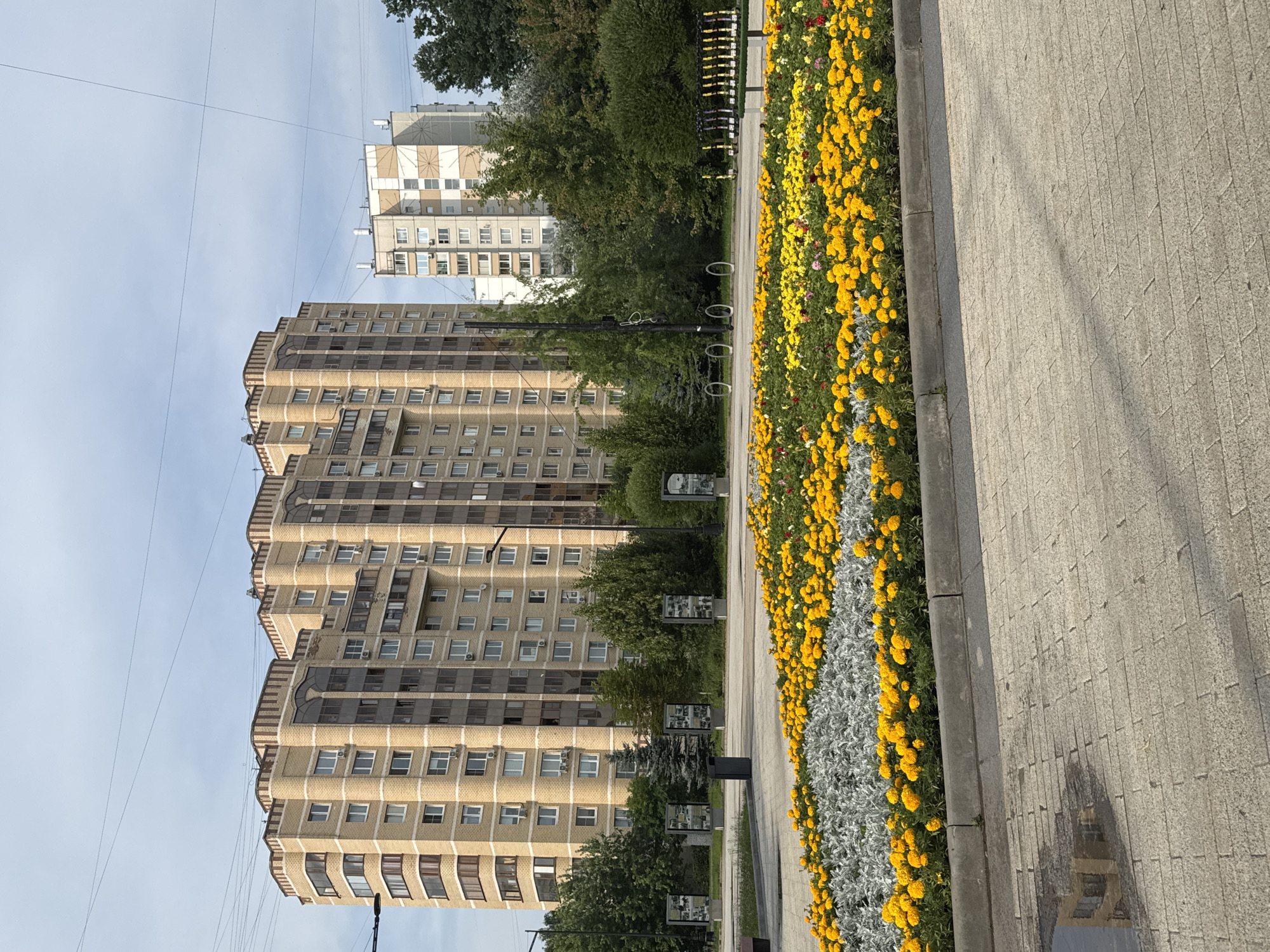 This is a daytime, eye-level, medium shot of a public space in Zelenograd, Russia. In the foreground, a wide flowerbed is filled with bright yellow and some red flowers, interspersed with silvery-grey foliage. The flowerbed is bordered by a concrete curb and a paved walkway made of light-colored rectangular stones. In the background, two tall, multi-story apartment buildings dominate the scene. The building on the left is light yellow with brown decorative trim at the top and a stepped roofline. The building on the right is lighter in color with geometric patterns on its facade. Between the buildings, mature green trees form a dense line. A street lamp and a dark trash receptacle are visible near the trees. Several framed information stands with black frames are positioned in front of the trees. A row of parked electric scooters is lined up on the right side of the image, near a bench. The sky is overcast with light clouds.
