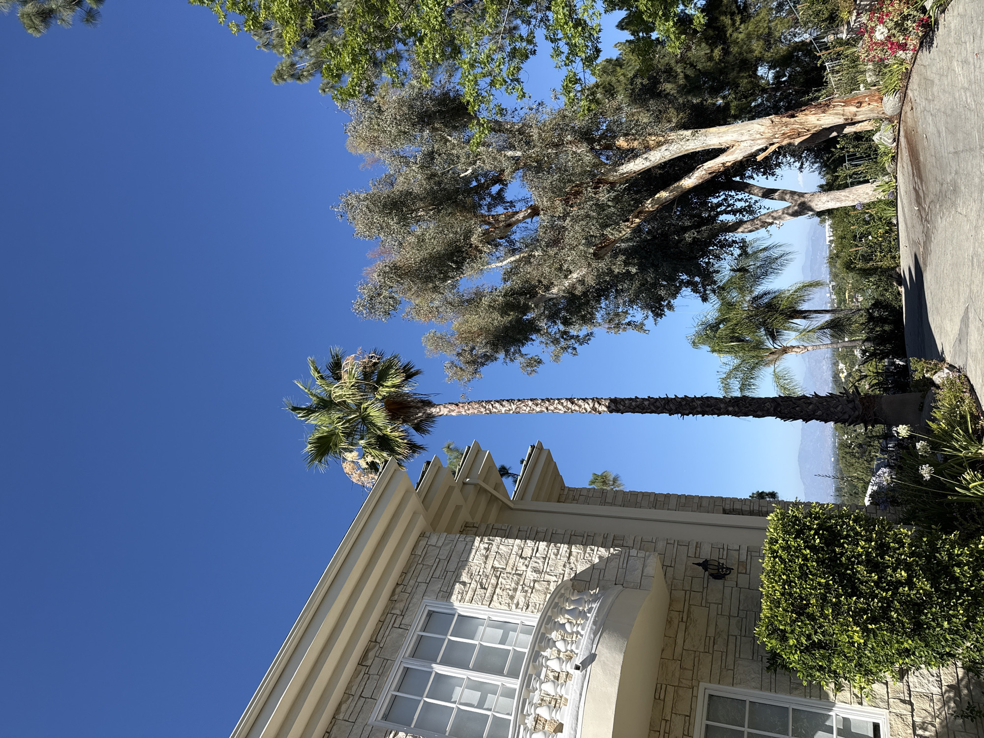 The image shows a large, well-maintained house with a stone facade and a white balcony railing. The house is situated on a hillside, with a driveway in the foreground. Several palm trees and other trees are visible, including a tall, slender palm tree to the right of the house and a large eucalyptus tree with light-colored bark to the right of the driveway. In the background, there are distant mountains and a hazy cityscape, suggesting an urban or suburban setting. The sky is a clear, vibrant blue. The scene appears to be a sunny day. The location is in Los Angeles, California, United States of America. There are no people visible in the image.