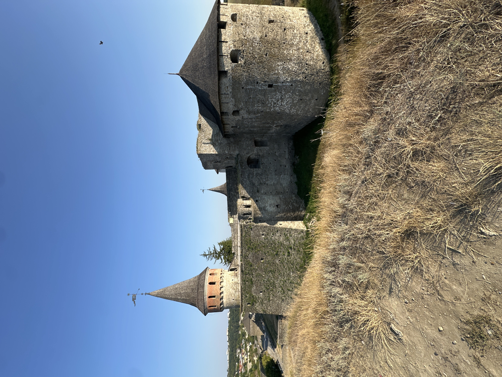 This is a wide-angle, eye-level photograph of the Kamianets-Podilskyi Castle in Ukraine, bathed in the golden light of what appears to be late afternoon or early morning. The castle, a magnificent stone fortress, dominates the mid-ground and right side of the frame. Its ancient walls, constructed from rough-hewn grey stones, display varying textures and signs of age, with patches of moss and vegetation clinging to the surfaces.
The castle features several prominent structures. On the left, a tall, conical tower with a weathered wooden roof stands prominently, topped with a weather vane and a small flag. The tower has a circular base and transitions to a brick section with arched window openings near its peak. Adjacent to this tower, and extending to the right, are the main fortifications of the castle, characterized by thick stone walls, crenellated battlements, and smaller arched openings or arrow slits. Another round tower with a dark, conical roof is visible further to the right. The architectural style suggests a medieval defensive structure.
The foreground of the image is dominated by dry, golden grass and sparse, dry foliage, indicating a natural, somewhat arid landscape surrounding the castle. The ground in the immediate foreground appears to be sandy or dusty soil.
In the background, a clear, vibrant blue sky stretches across the entire upper portion of the image. A single bird is captured in flight in the upper right quadrant of the sky. Beyond the castle walls and to the left, the urban landscape of Kamianets-Podilskyi unfolds, with a scattering of buildings, trees, and a road visible in the distance. The presence of a road with what appear to be vehicles suggests the castle is accessible and located within or near the city. The overall impression is one of historical grandeur set against a natural and urban backdrop under a serene sky.