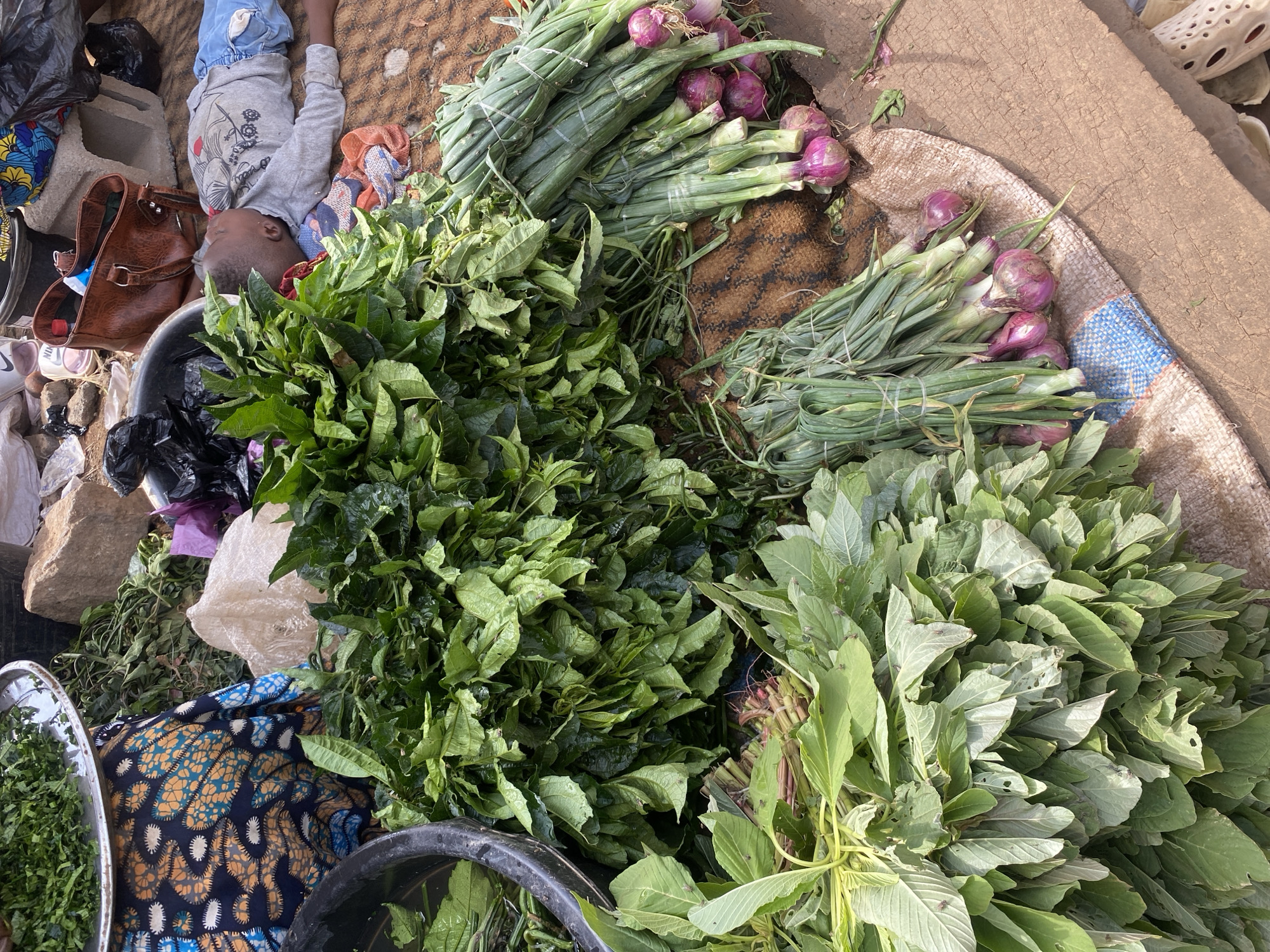 The scene depicts an outdoor market stall in Rido, Nigeria. The ground is primarily reddish-brown earth, partially covered by a patterned brown mat and a blue and white patterned sack. A seated individual, partially visible in the upper-left, wears a blue, orange, and white patterned fabric and is positioned near a metal tray holding chopped green leafy vegetables and a black plastic basin containing water and green stems. A young child or toddler is lying supine on the patterned brown mat in the upper-right, wearing a grey long-sleeved shirt with a graphic design and light blue trousers; their eyes are closed. A brown leather-like handbag, a black plastic bag, and a concrete block are located near the child's head. The central and lower areas are covered with numerous fresh vegetables: large piles of dark green leafy greens, bundles of lighter green broad-leafed vegetables in the lower-left, and bundles of spring onions with purple-red bulbs arranged on the right. Flies are observed on the leafy greens. Scattered rocks and general debris are visible in the background, along with a white sandal.