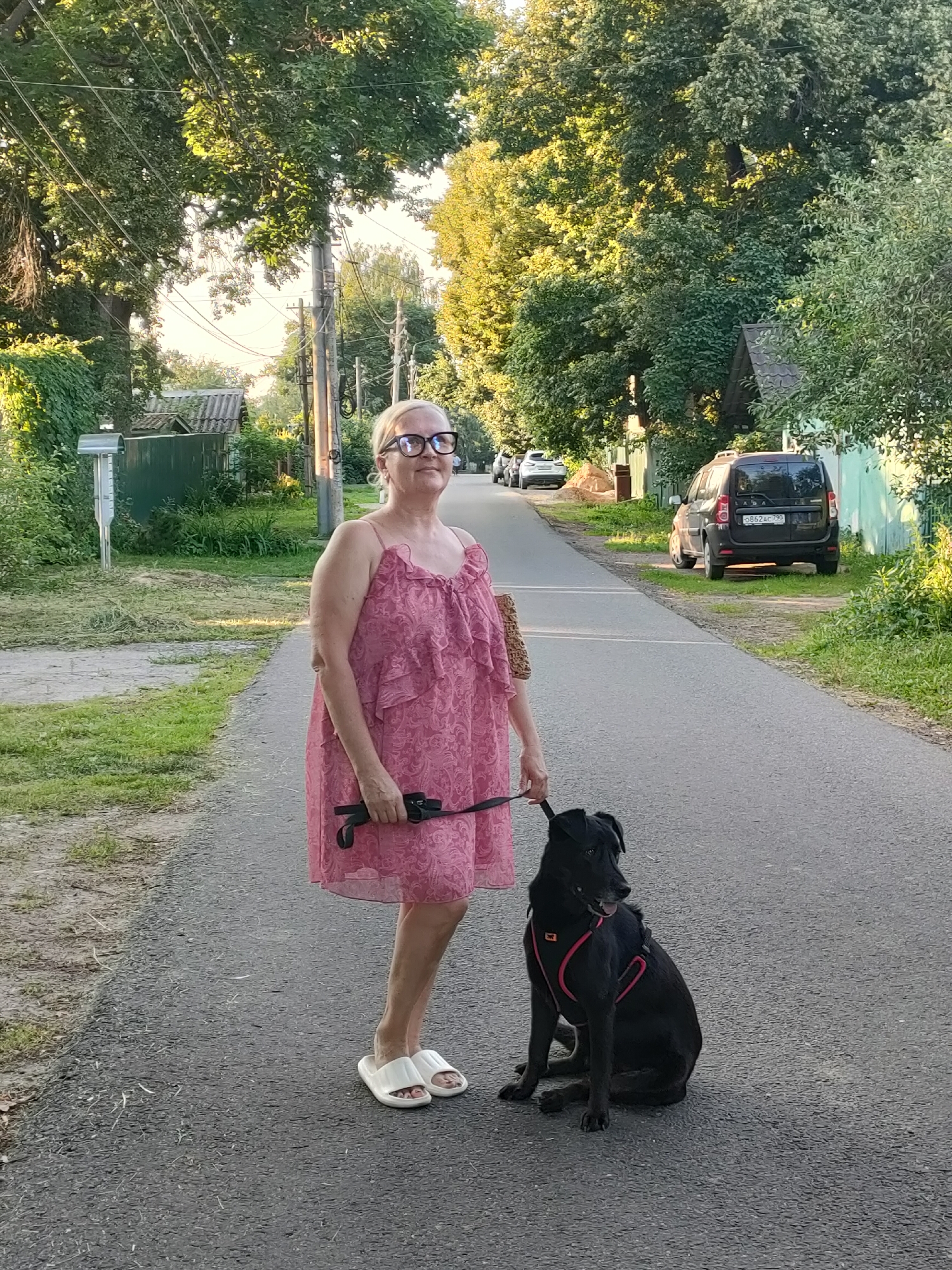 A woman and her black dog are on a paved road in what appears to be a rural or suburban area. The woman is wearing a pink, ruffled dress and white slide sandals. She has on large-rimmed glasses and is holding a black leash. The dog is sitting beside her, wearing a pink harness. The scene is set with trees lining the road, some of which are tall and leafy, suggesting it's summer or early autumn. Houses and fences are visible in the background, as well as parked cars. The sunlight suggests it's daytime, likely late afternoon or early evening due to the warm lighting. The overall mood seems relaxed and peaceful. The license plate of the black minivan visible on the right reads "0862AC 790". The location is identified as Boltin, Mytishchinsky District, Russia.