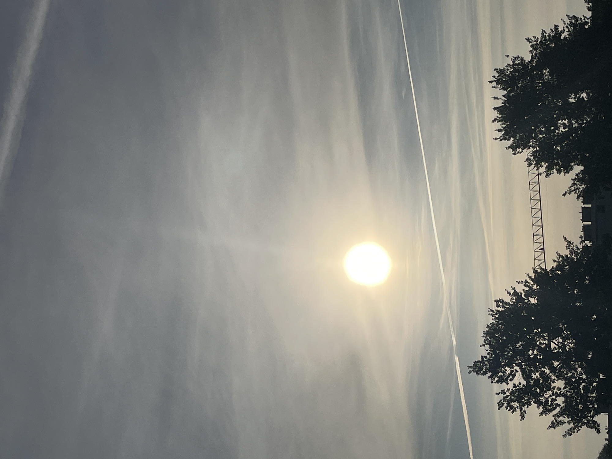 A full shot captures the sky above the city of Unknown, Unknown. The sun is a bright orb in the center of the image, casting a hazy glow. Two distinct contrails, formed by aircraft, stretch across the sky. In the foreground, the silhouettes of two large trees are visible, with a construction crane partially obscured by the foliage. Buildings are visible beneath the trees, adding to the urban landscape. The sky is filled with wispy clouds, creating a textured backdrop.