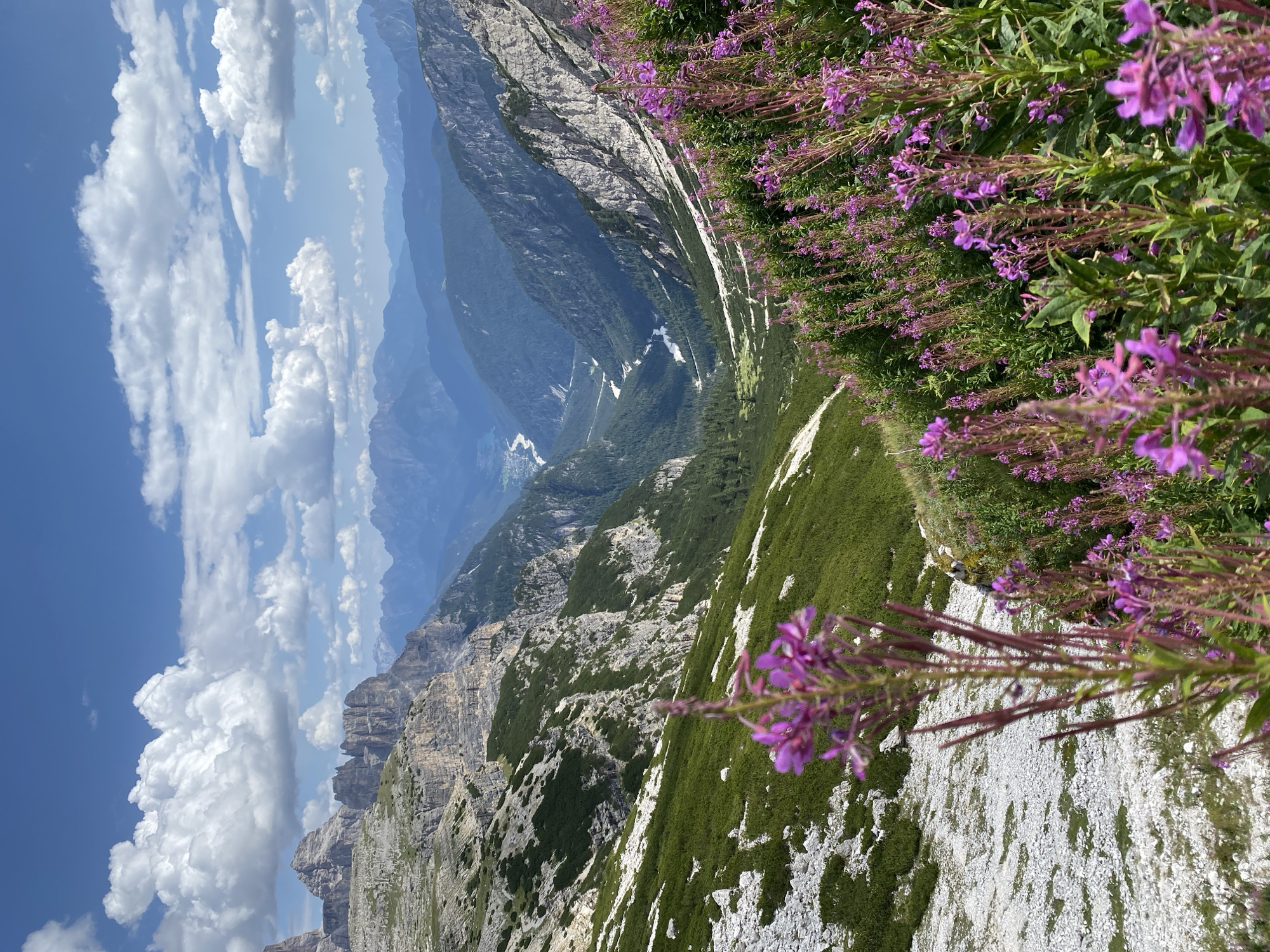 This is a landscape photograph taken in the Dolomites, near Auronzo di Cadore, Italy. The image depicts a steep mountain valley with rugged, rocky peaks on either side. In the foreground, there are numerous stalks of purple wildflowers, with some in sharp focus and others blurred. The valley floor is covered in green vegetation, with a winding river visible in the distance. The sky is blue with scattered white clouds. The overall scene conveys a sense of natural beauty and remoteness.