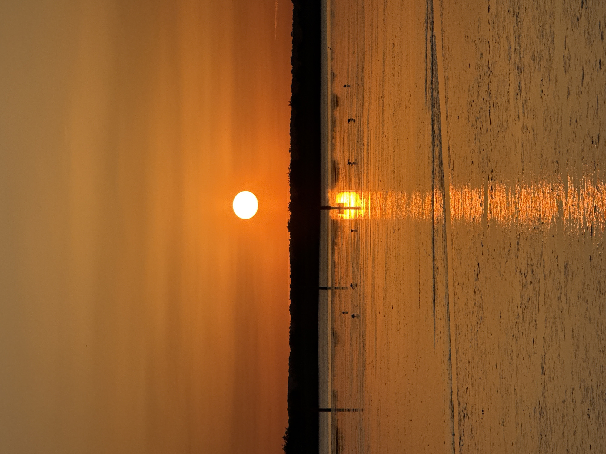 The image shows a sunset over water, likely a river or broad, with a dark treeline separating the water from the sky. The sun is a bright disc on the left. The water reflects the sun, creating a shimmering line of light. There are pilings or posts in the water. Some birds are perched on the posts. Given the location request and the landscape, it's plausible this is a sunset over Breydon Water in Great Yarmouth, UK.