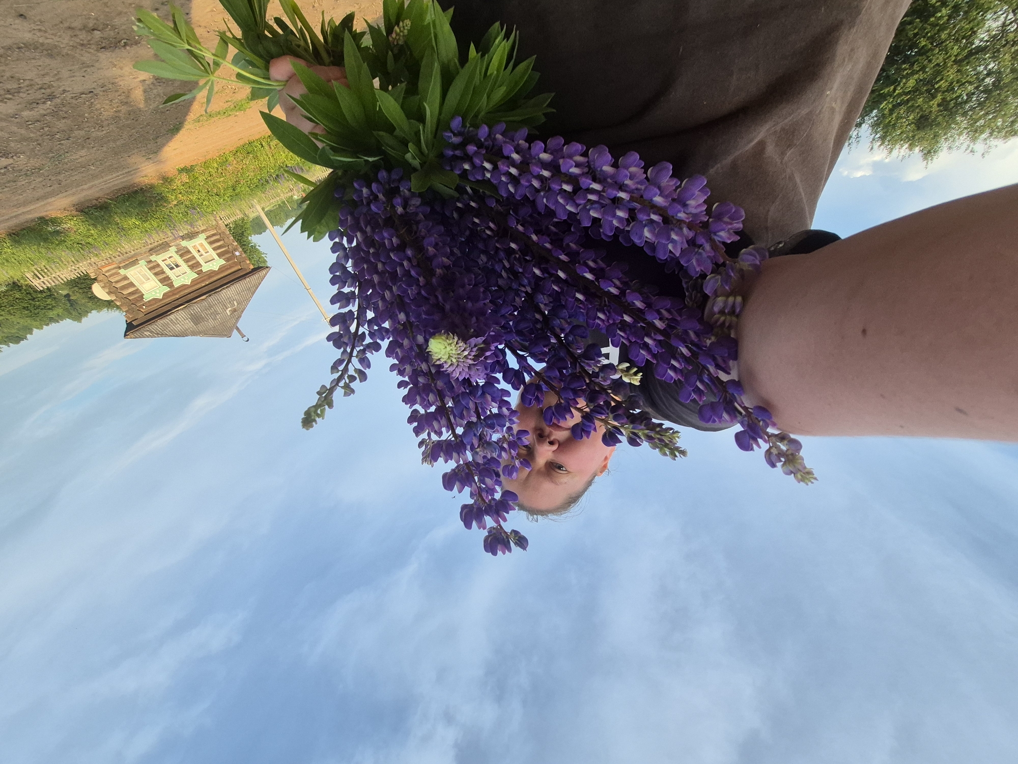 A first-person perspective low-angle shot captures a person holding a large bouquet of purple lupine flowers. The person's arm and shoulder are prominent in the foreground, with the flowers obscuring their face. The background reveals a rural landscape under a bright, partly cloudy sky. A weathered wooden house with green-trimmed windows and a steep roof is visible on the right, adjacent to a dirt road and a wooden fence. Green trees and fields surround the house, suggesting a countryside setting in the city of Дойная, Russia. The overall lighting indicates it is daytime, possibly late afternoon due to the warm light.