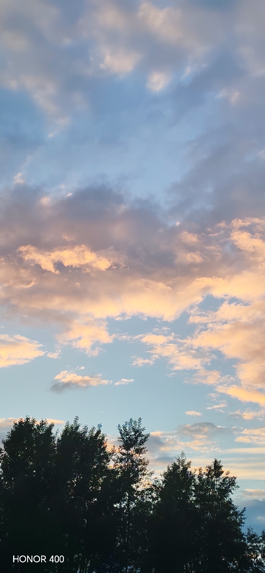 The image shows a sunset sky over Noviy, Russia, with silhouetted trees in the foreground. The sky is filled with scattered clouds, some of which are illuminated by the setting sun, creating a gradient of pink, orange, and blue hues. The trees, dark against the colorful sky, form a jagged line across the bottom of the frame. A watermark in the lower left corner reads "HONOR 400".
