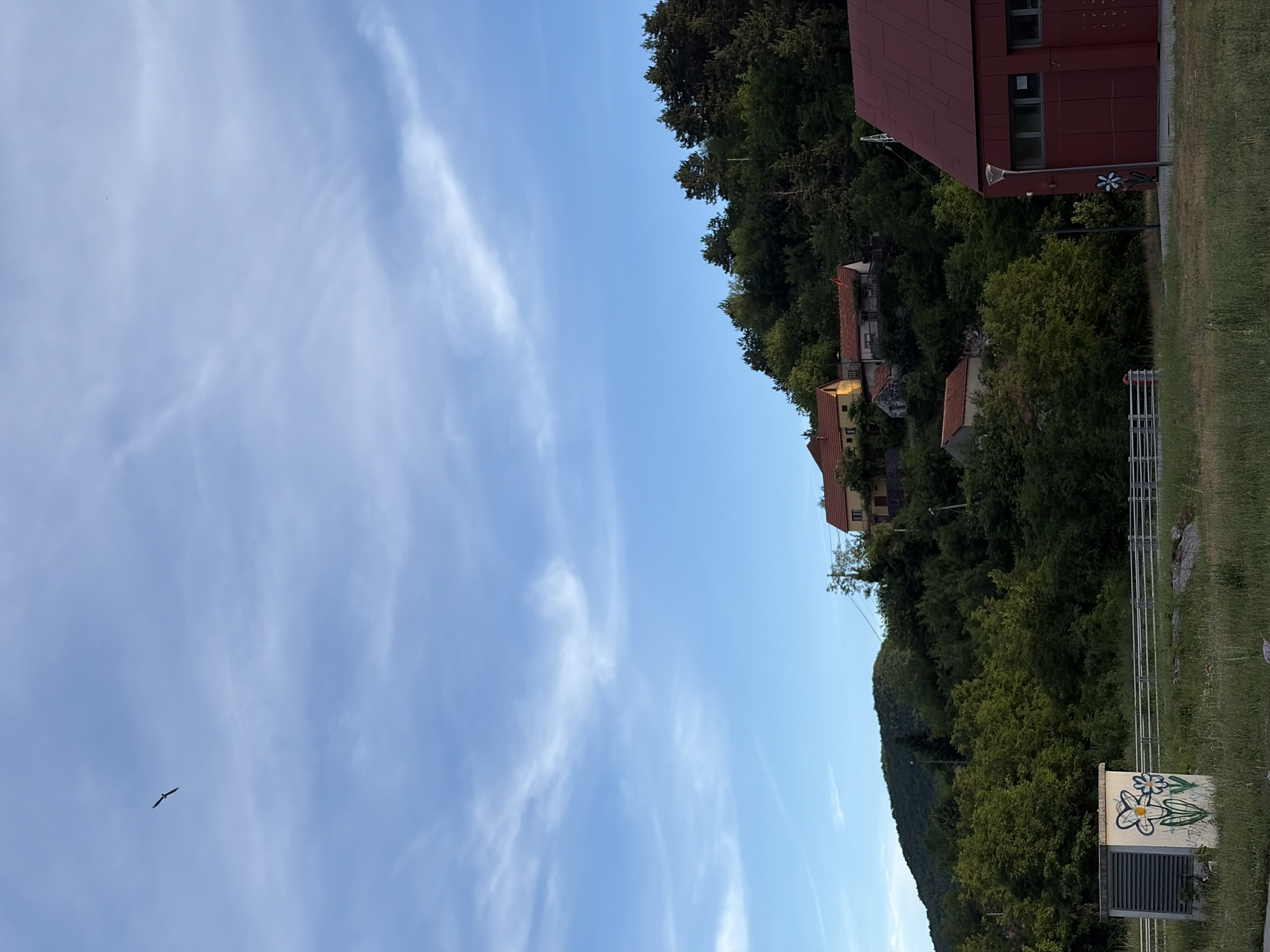 The image depicts a rural scene with a cluster of houses nestled on a tree-covered hillside. The sky is a clear blue with scattered wispy white clouds, and a bird is visible in flight. In the foreground, there is a red building with windows and a street lamp. To the left of the red building is a small concrete structure with graffiti of flowers. A metal fence runs across the middle ground, separating the foreground from the hillside. The overall impression is one of a tranquil, sun-drenched setting in the outskirts of Cetinje, Montenegro.