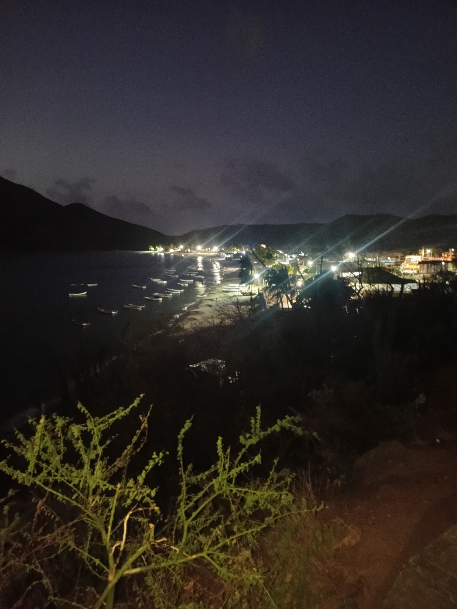 This is a nighttime view of a coastal scene in Juan Griego, Venezuela. In the foreground, there's vegetation, including a shrub with bright green leaves. Looking across the scene, a bay is visible, lined with a beach. Several small boats are anchored in the water near the shore. The town of Juan Griego is situated on the coast, with streetlights visible along the shore, reflecting light onto the water. The surrounding landscape is hilly, with silhouetted mountains visible against the night sky. The overall light level is low, with bright points from artificial lights.
