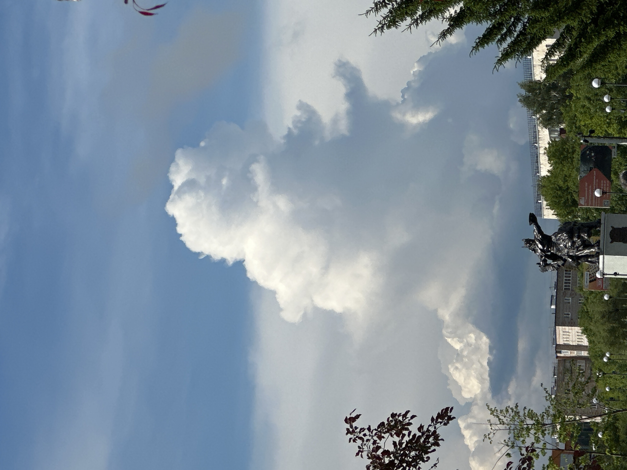 This image, presented in a portrait orientation, captures a dynamic sky dominated by large, bright white and grey clouds, set above an urban landscape. The clouds show significant depth and texture, with a particularly large, distinct white cloud formation centrally located, resembling an abstract shape.
The upper left section of the frame features a clear blue sky, with a blurred hint of red or burgundy leaves from a tree branch entering from the top edge. As the sky moves towards the center and right, it transitions to lighter blue and is filled with various cloud formations, ranging from wispy cirrus-like elements to dense, grey masses.
The lower right portion of the image reveals elements of a city or park. Dark green coniferous tree branches are visible in the mid-right, extending downwards. Below these, parts of light-colored, multi-story buildings with visible windows and railings indicate an urban setting. A dark, possibly metal, sculpture or statue with intricate details is situated amidst green foliage in the lower right, partially obscured by trees and white spherical street lamps. More green trees and bushes, along with some reddish-brown foliage, are visible towards the bottom right. Two signs are visible near the sculpture, one appearing red with white text and another black and white, but the text is not legible.
The lighting suggests bright daytime, with clear skies contrasting with the cloud formations. No specific activity or event is clearly depicted.